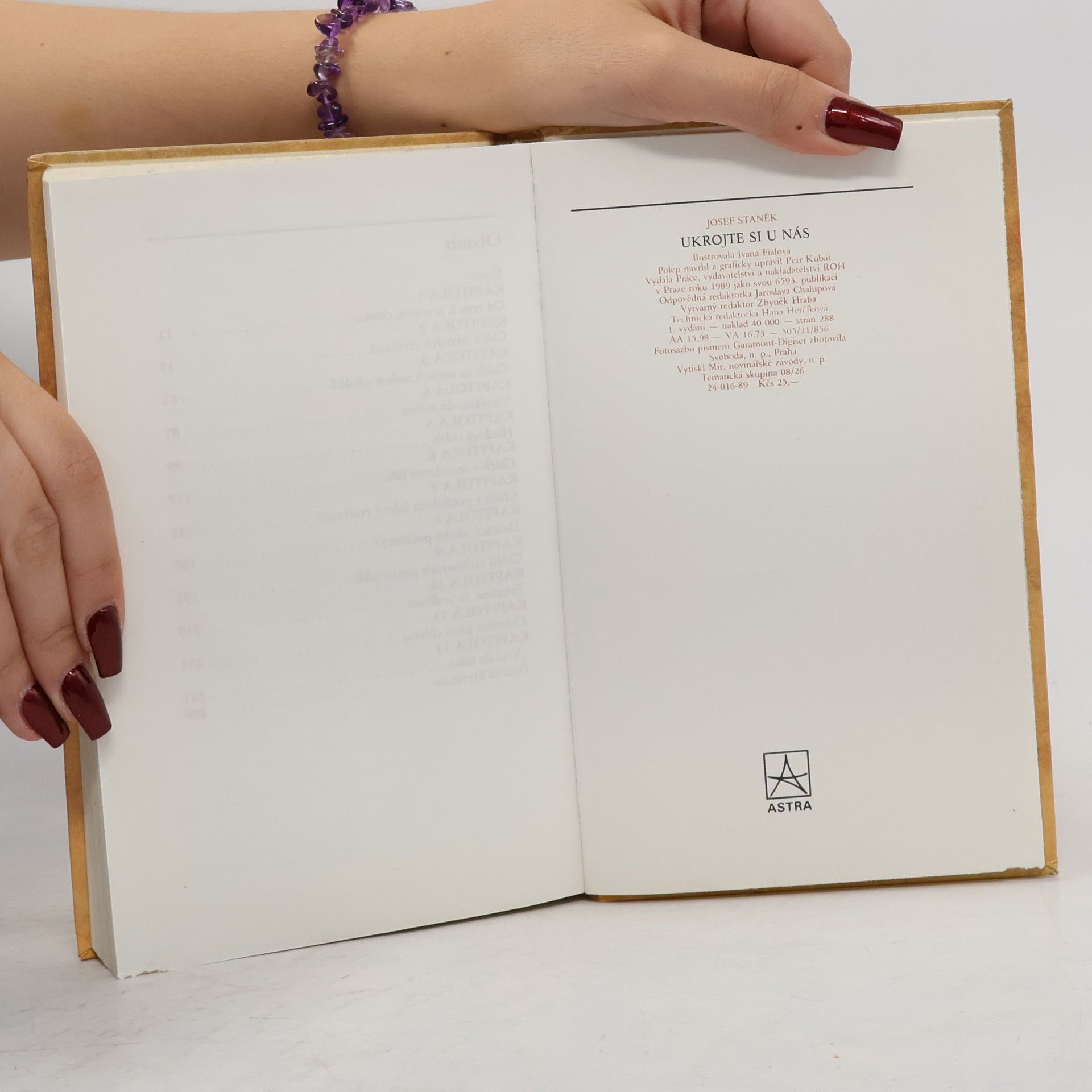 Josef Staněk Ukrojte si u nás. Kapitoly z dějin chleba