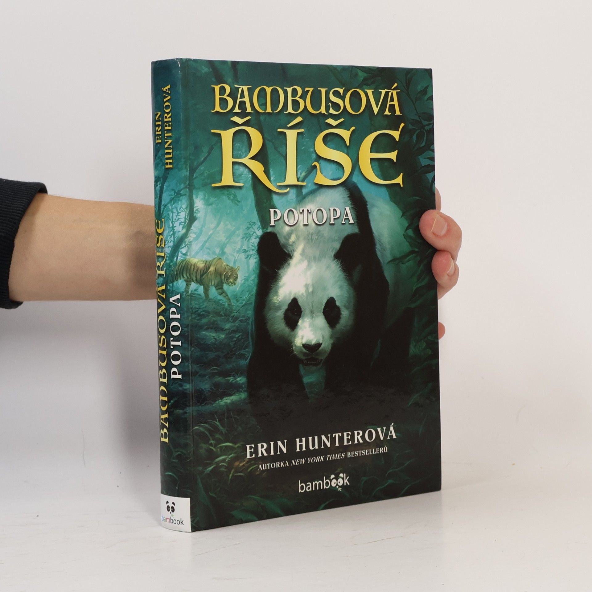 Bambusová říše. Potopa