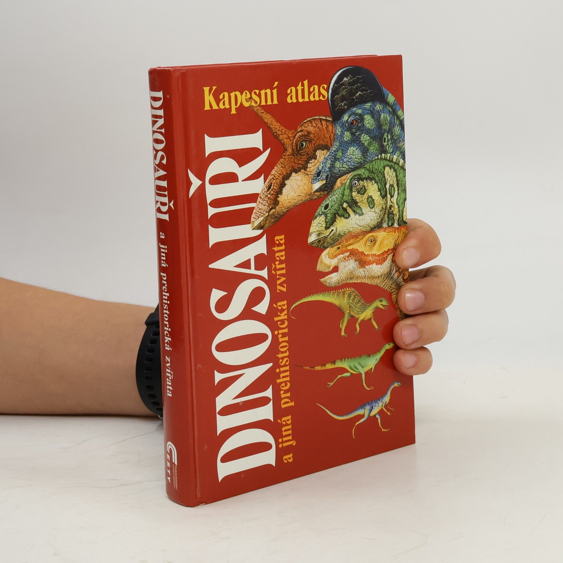 Michael J. Benton Dinosauři a jiná prehistorická zvířata. Průvodce světem vyhynulých živočichů