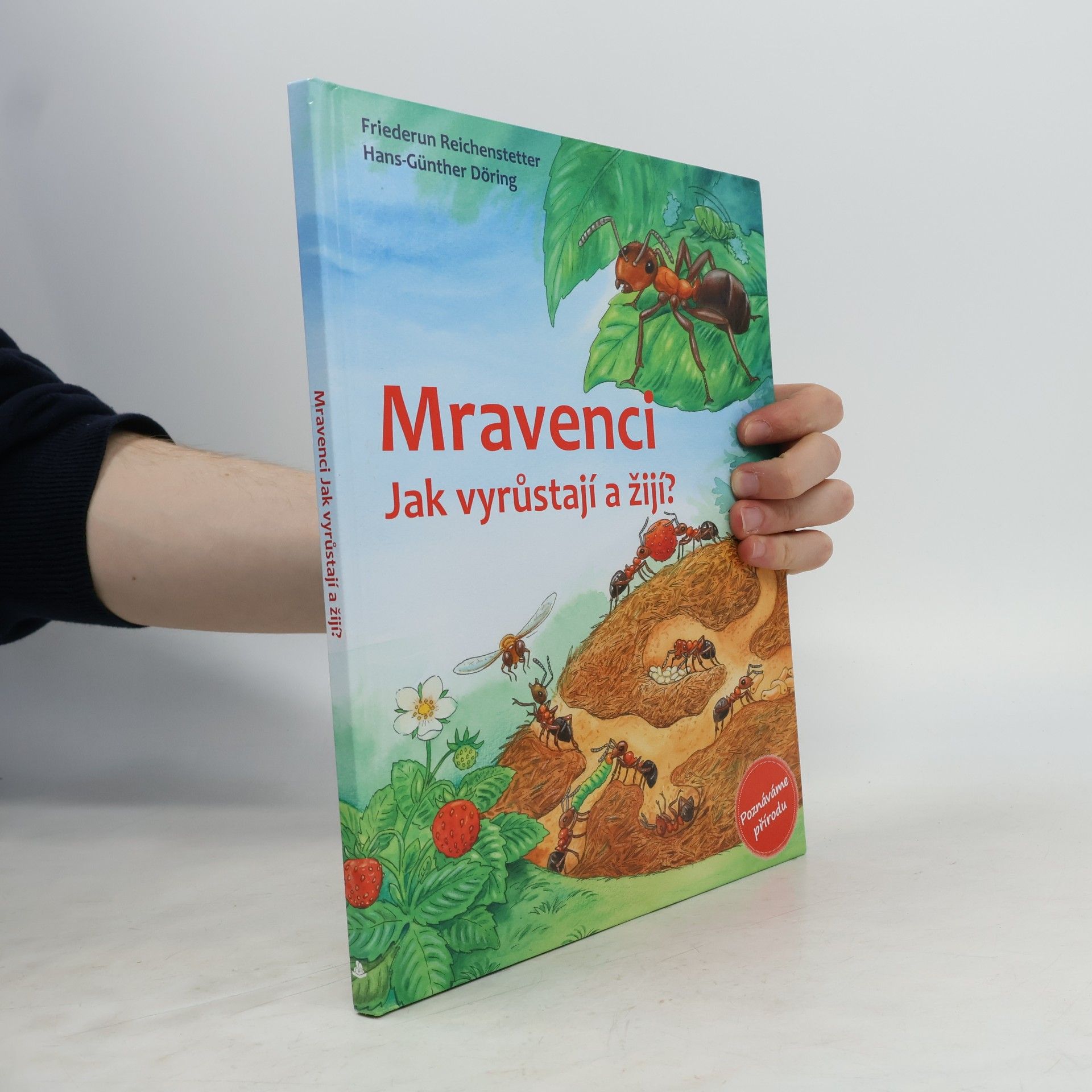 Mravenci. Jak vyrůstají a žijí?
