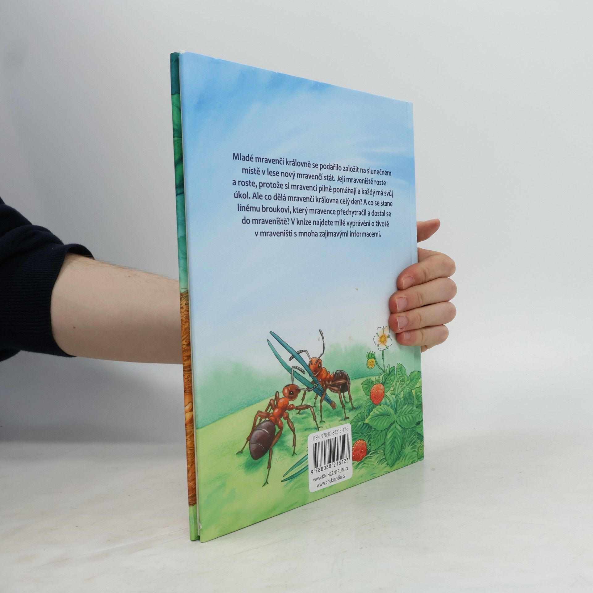 Friederun Reichenstetter Mravenci. Jak vyrůstají a žijí?