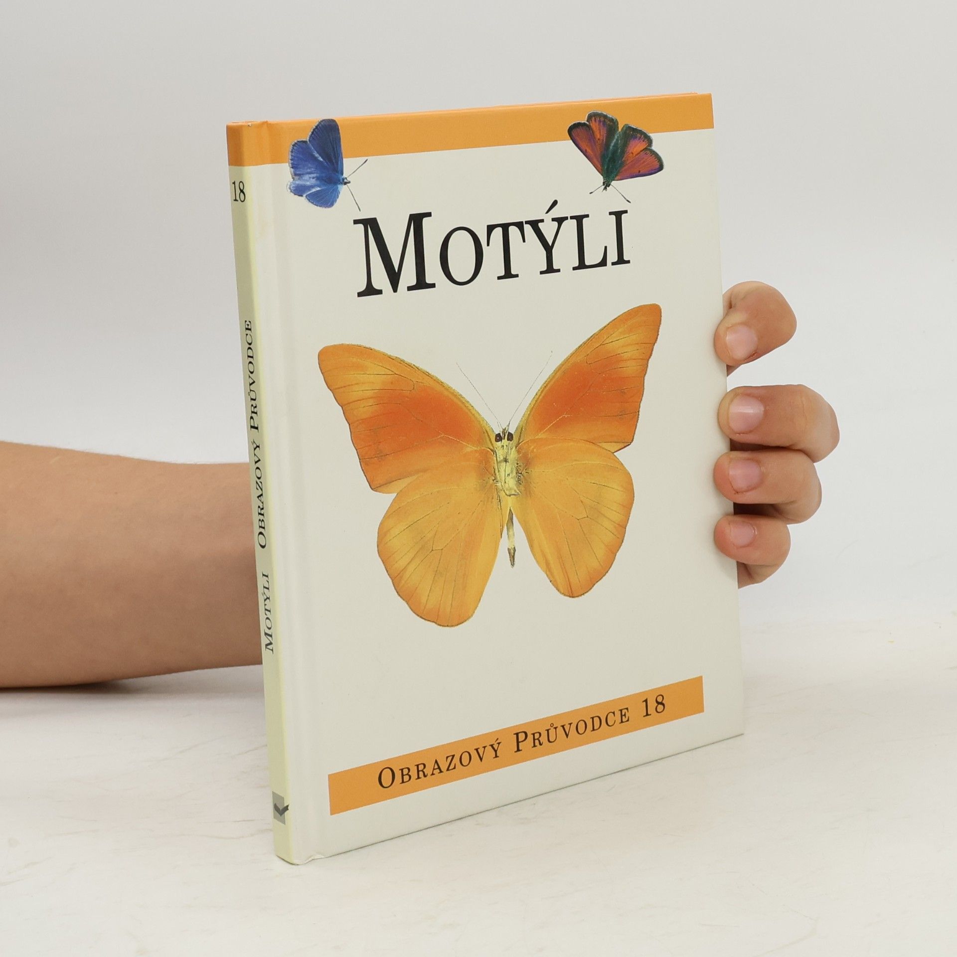 Antonín Kůrka Motýli