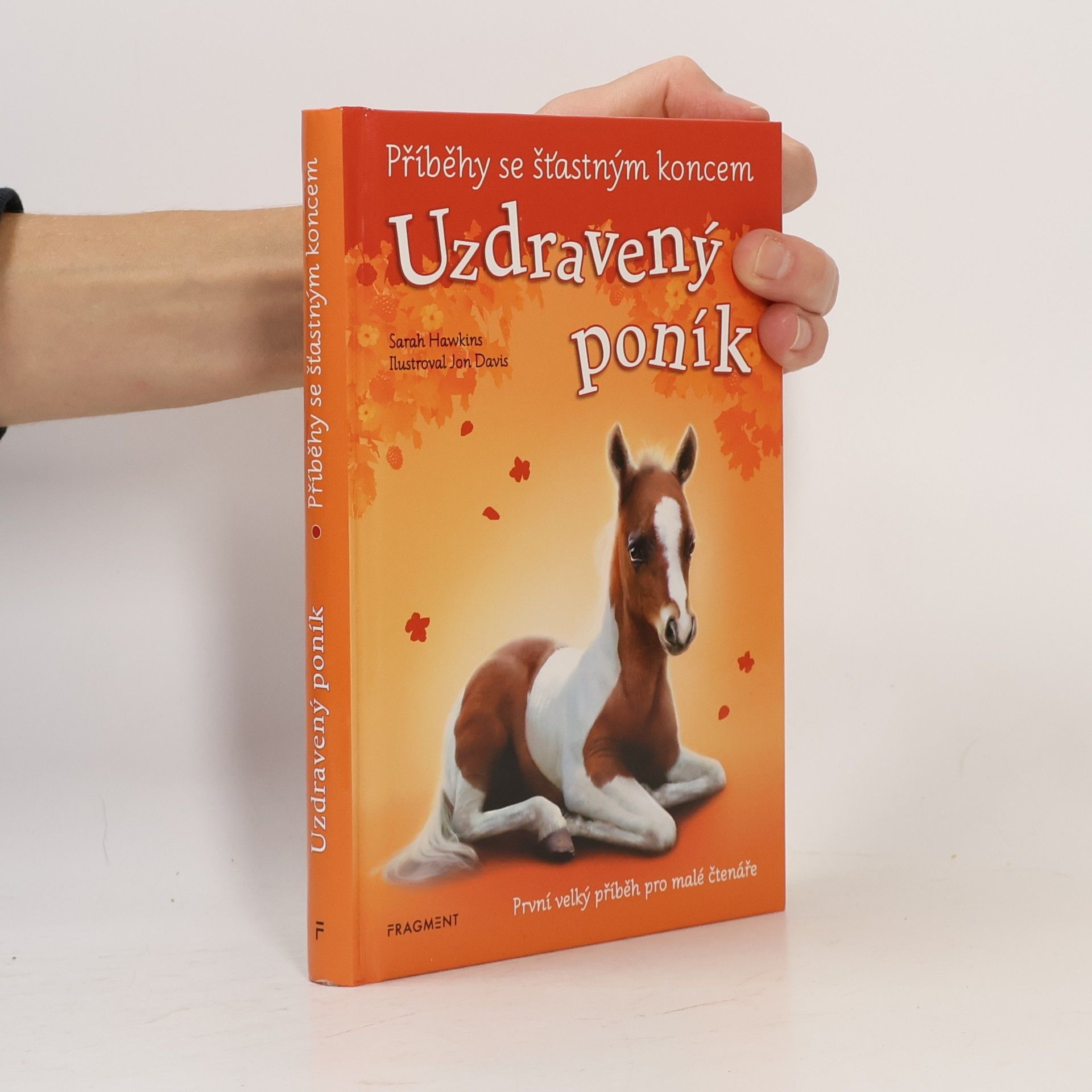 Sarah Hawkins Uzdravený poník
