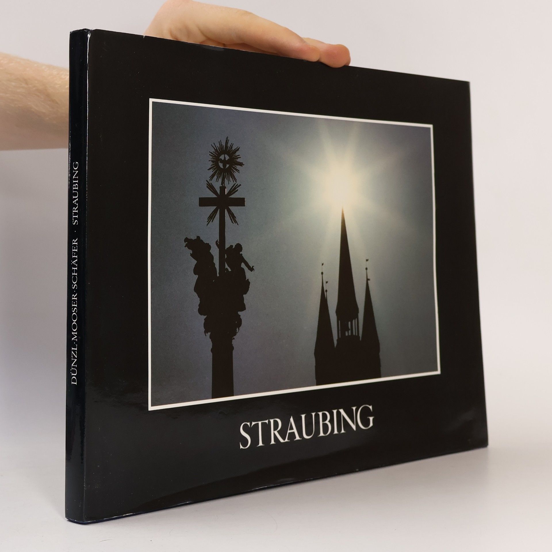 Mooser Straubing
