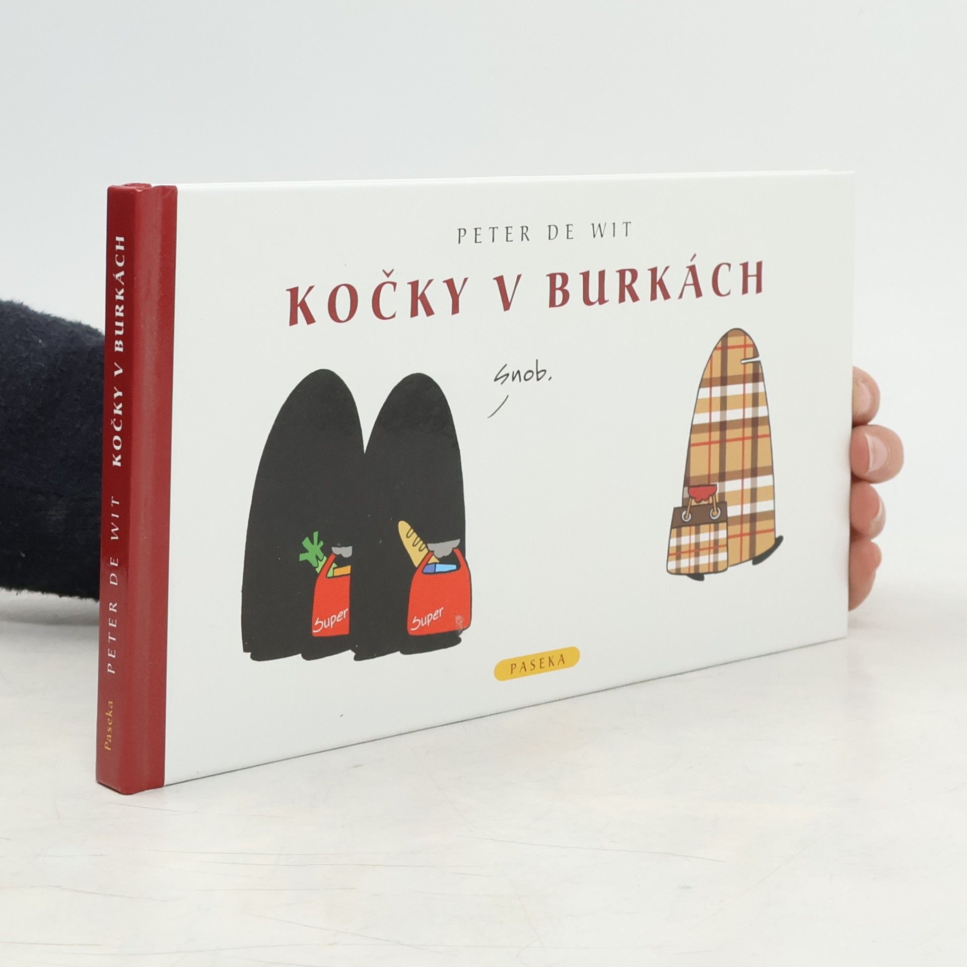 Peter de Wit Kočky v burkách