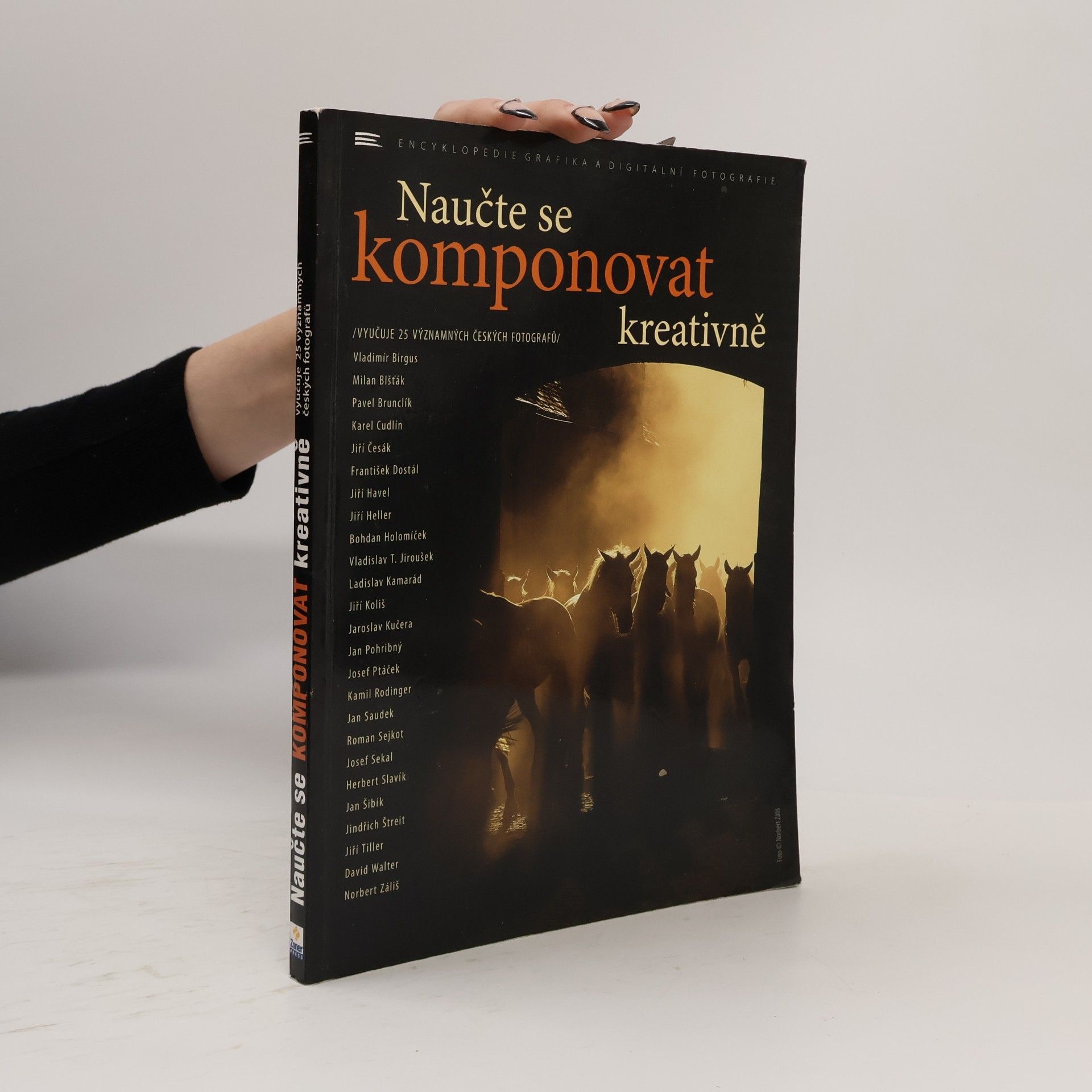 Auteurscollectief Naučte se komponovat kreativně