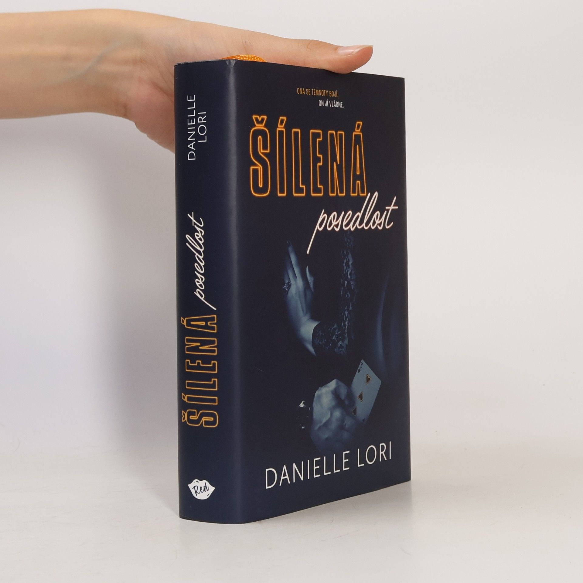 Danielle Lori Šílená posedlost