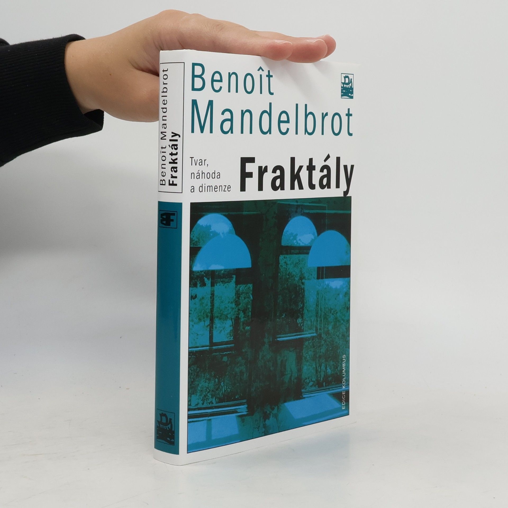 Fraktály : tvar, náhoda a dimenze