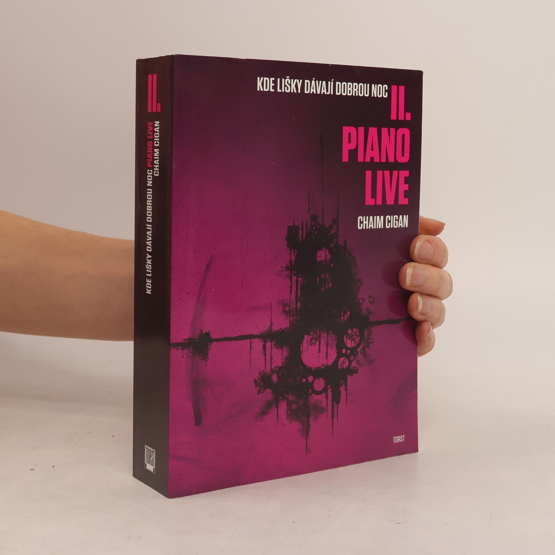Karol Sidon Kde lišky dávají dobrou noc II. Piano live