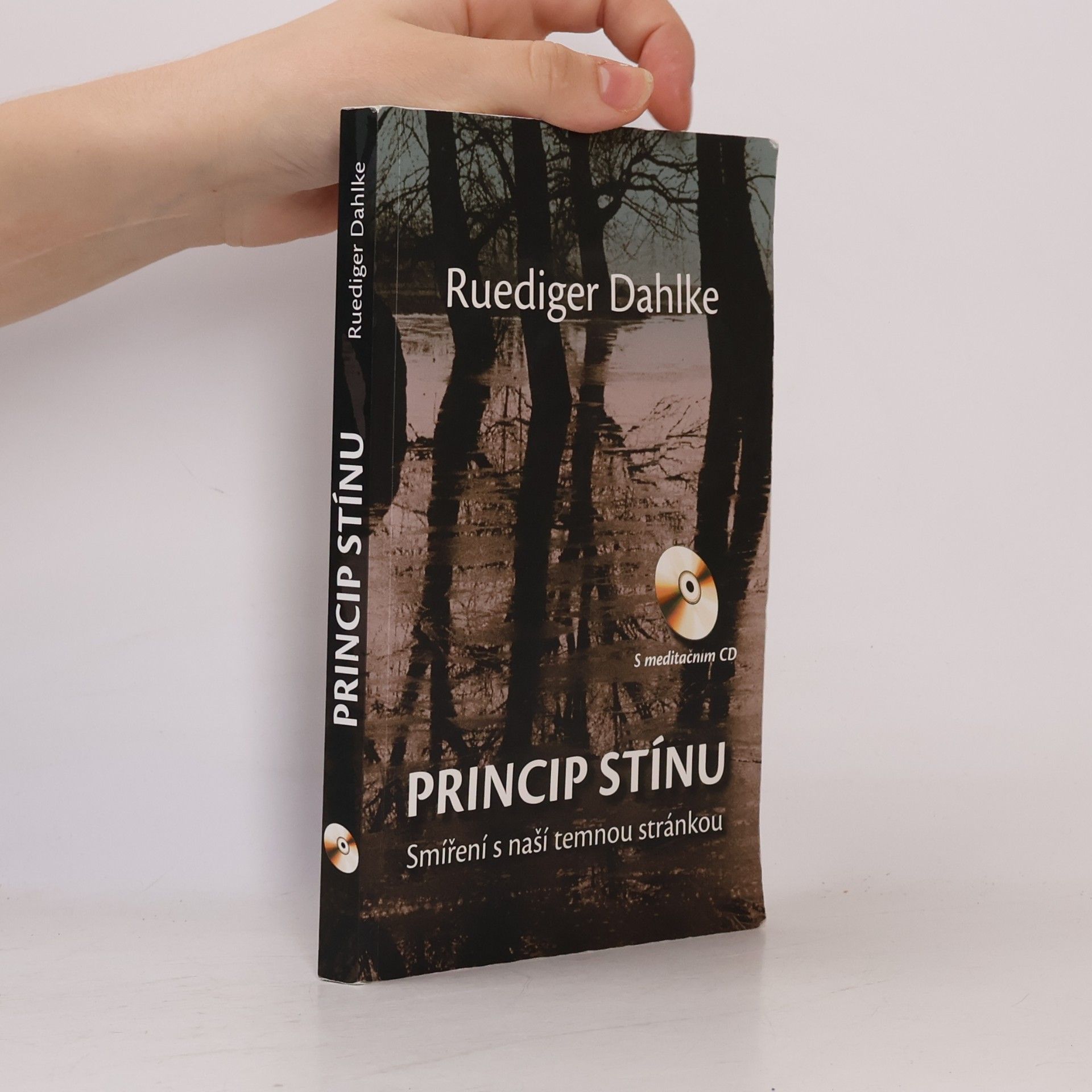 Ruediger Dahlke Princip stínu: Smíření s naší temnou stránkou