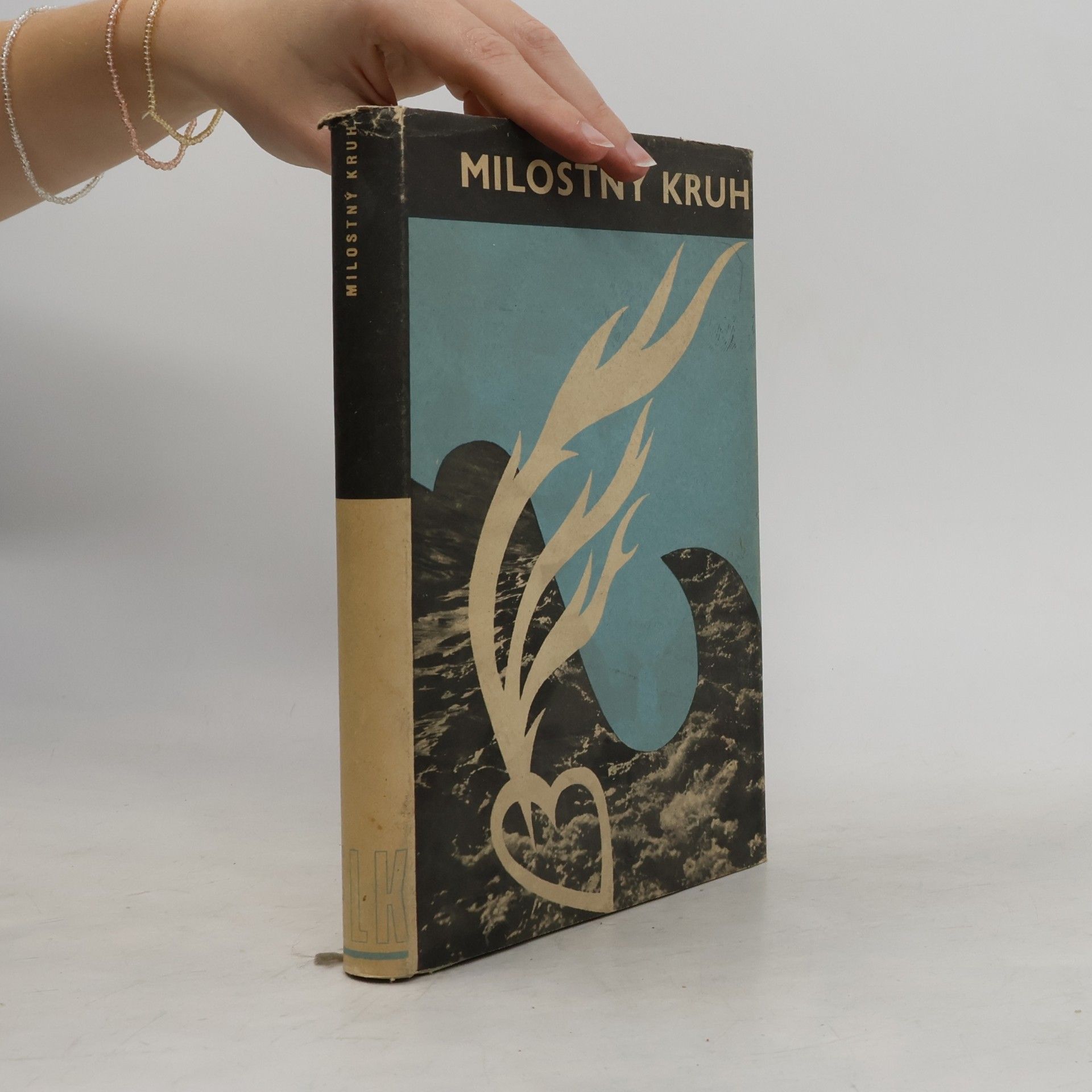 Kolektiv autorů Milostný kruh
