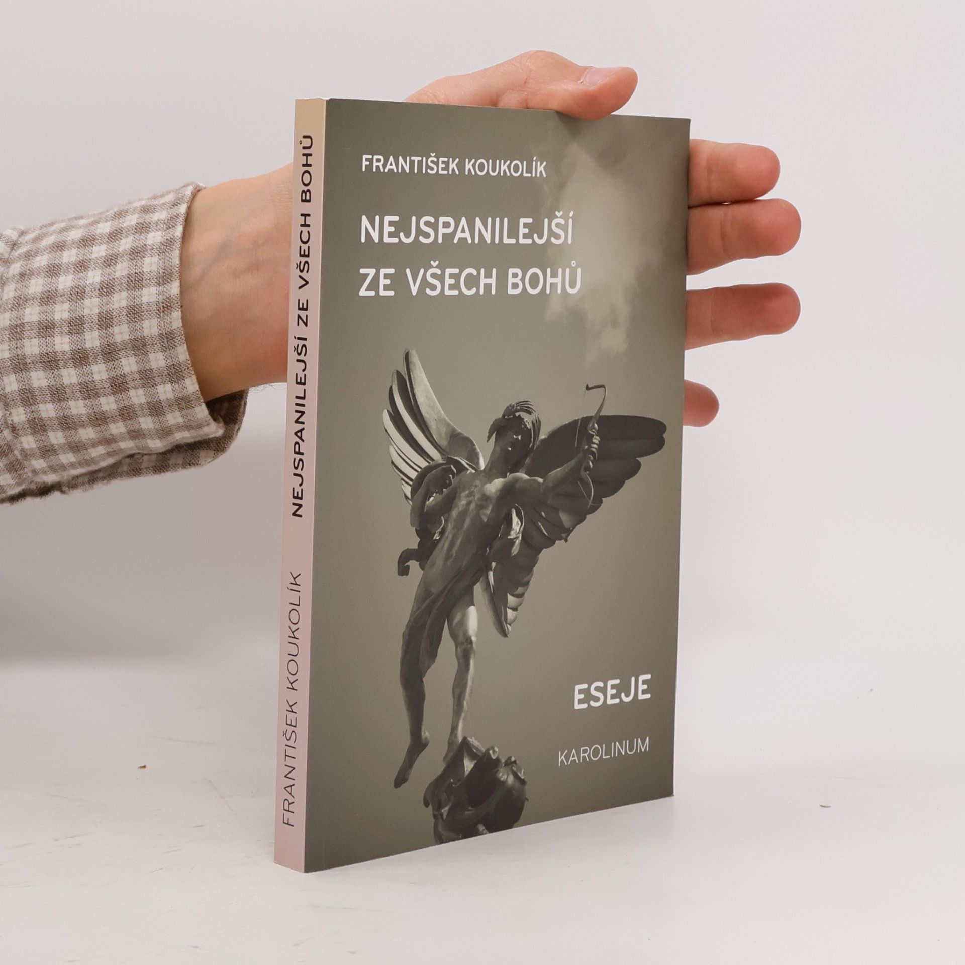 František Koukolík Nejspanilejší ze všech bohů : eseje
