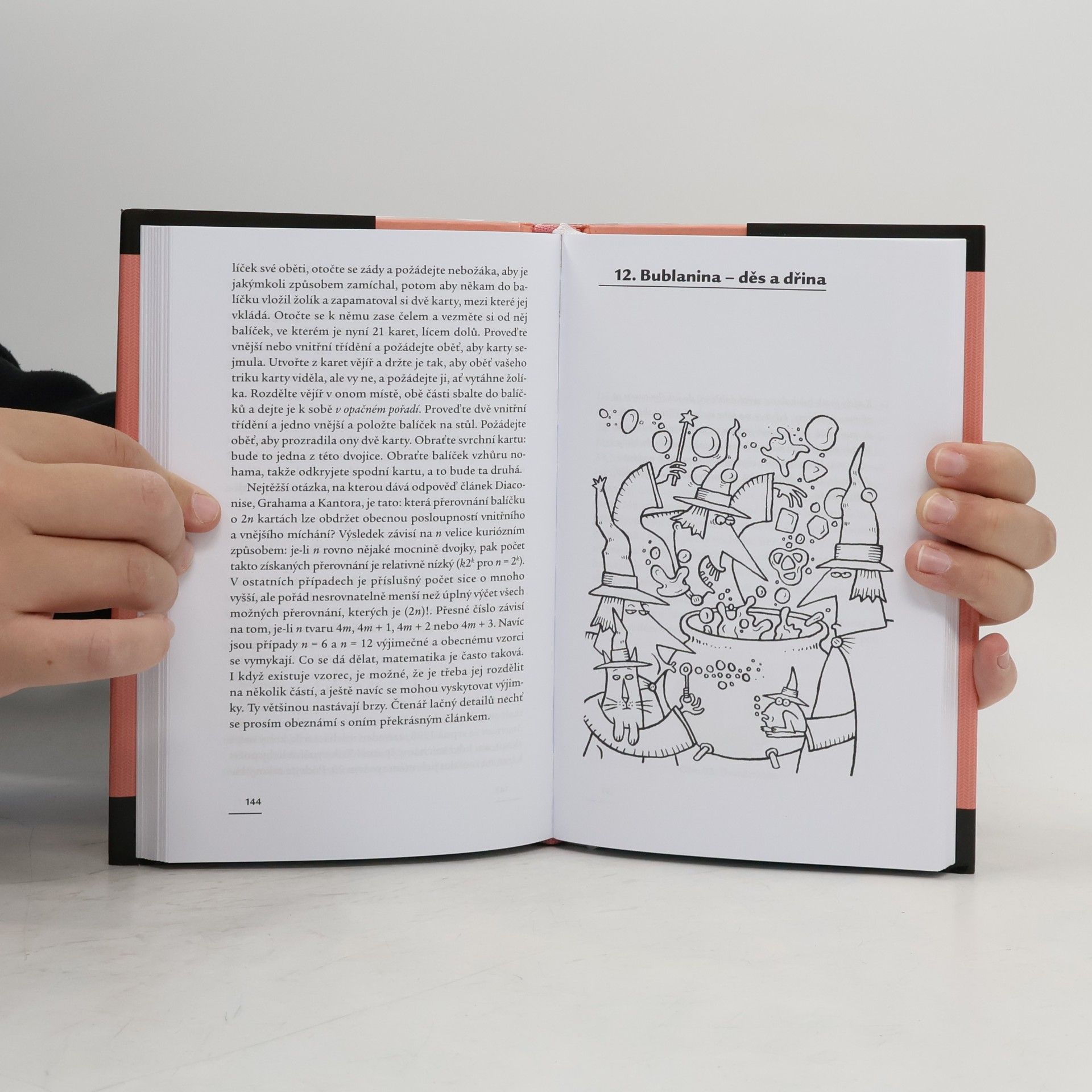 Ian Stewart Jak rozkrájet dort a další matematické záhady