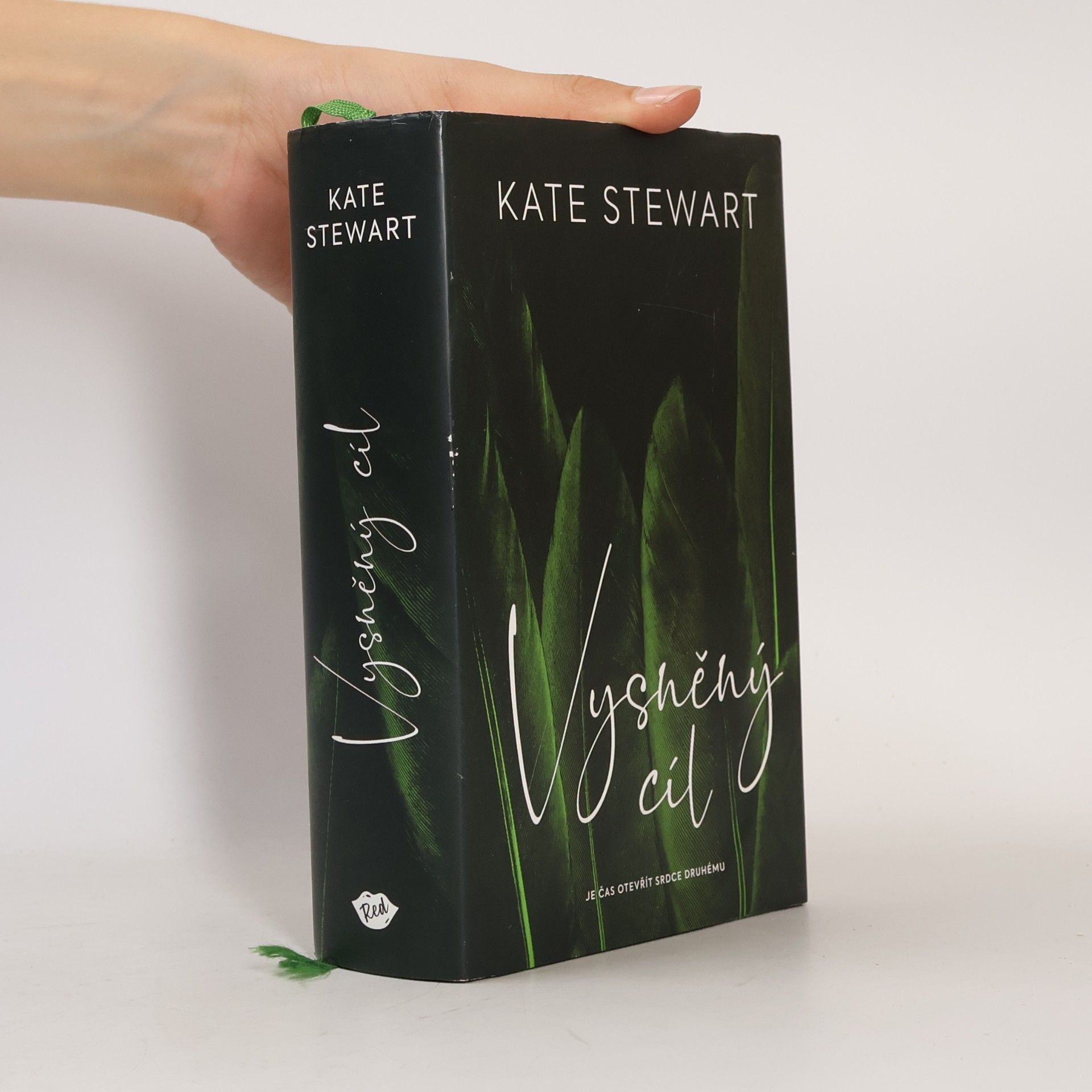 Kate Stewart Vysněný cíl. Kniha třetí