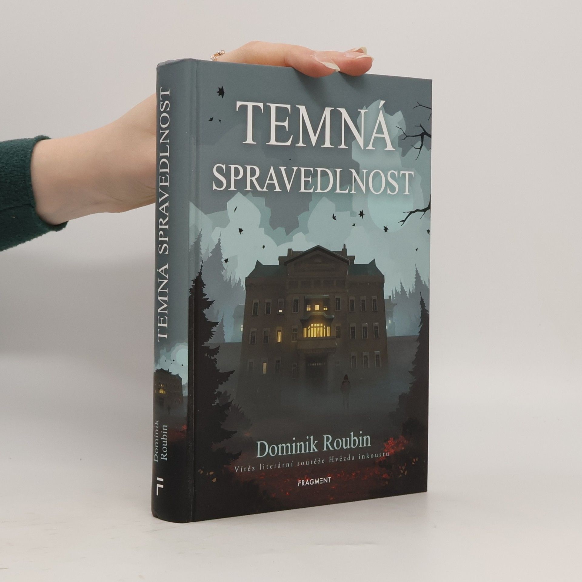 Dominik Roubin Temná spravedlnost