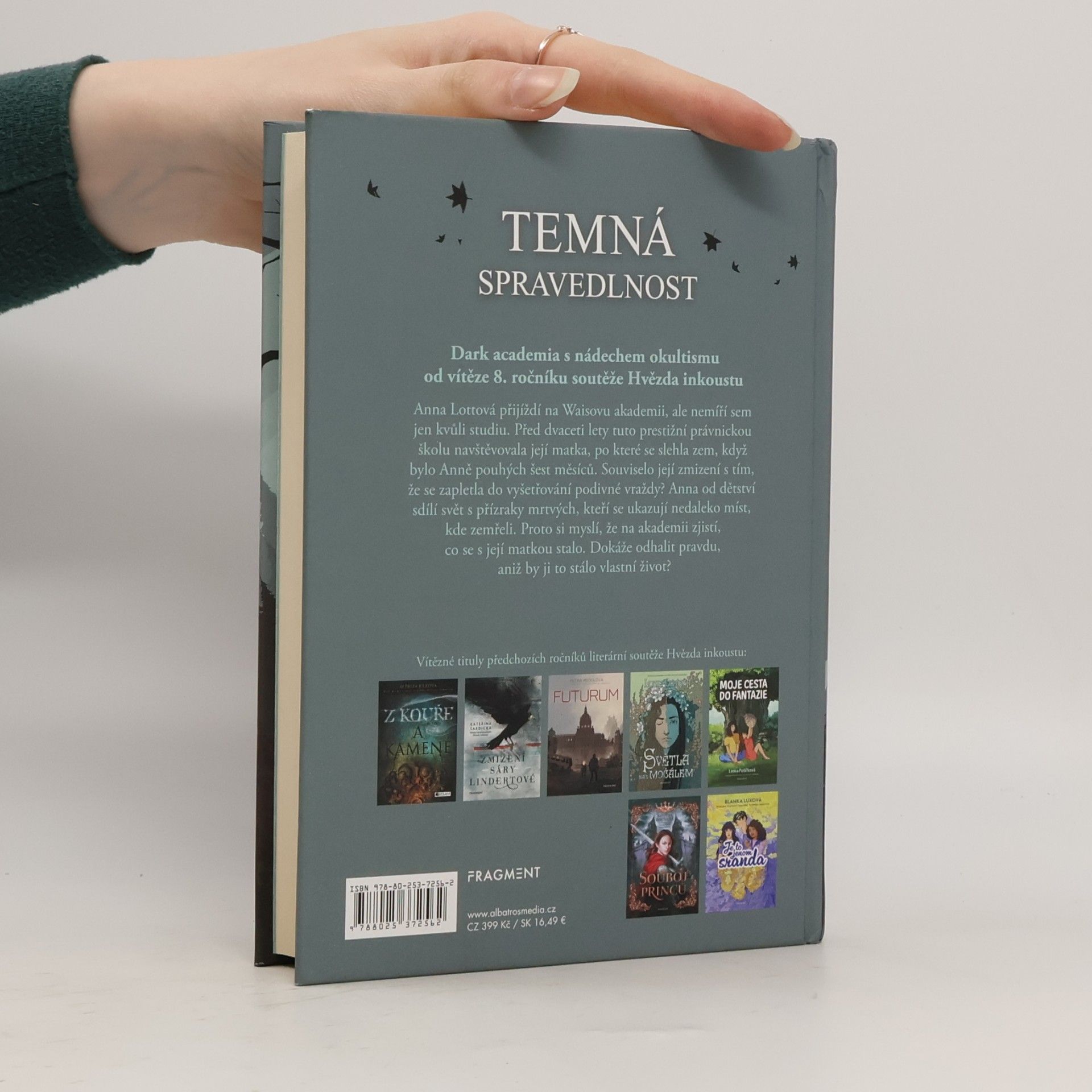 Dominik Roubin Temná spravedlnost