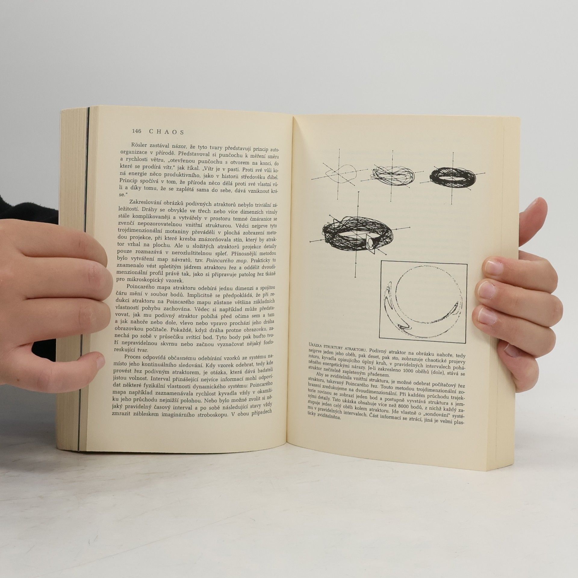James Gleick Chaos. Vznik nové vědy