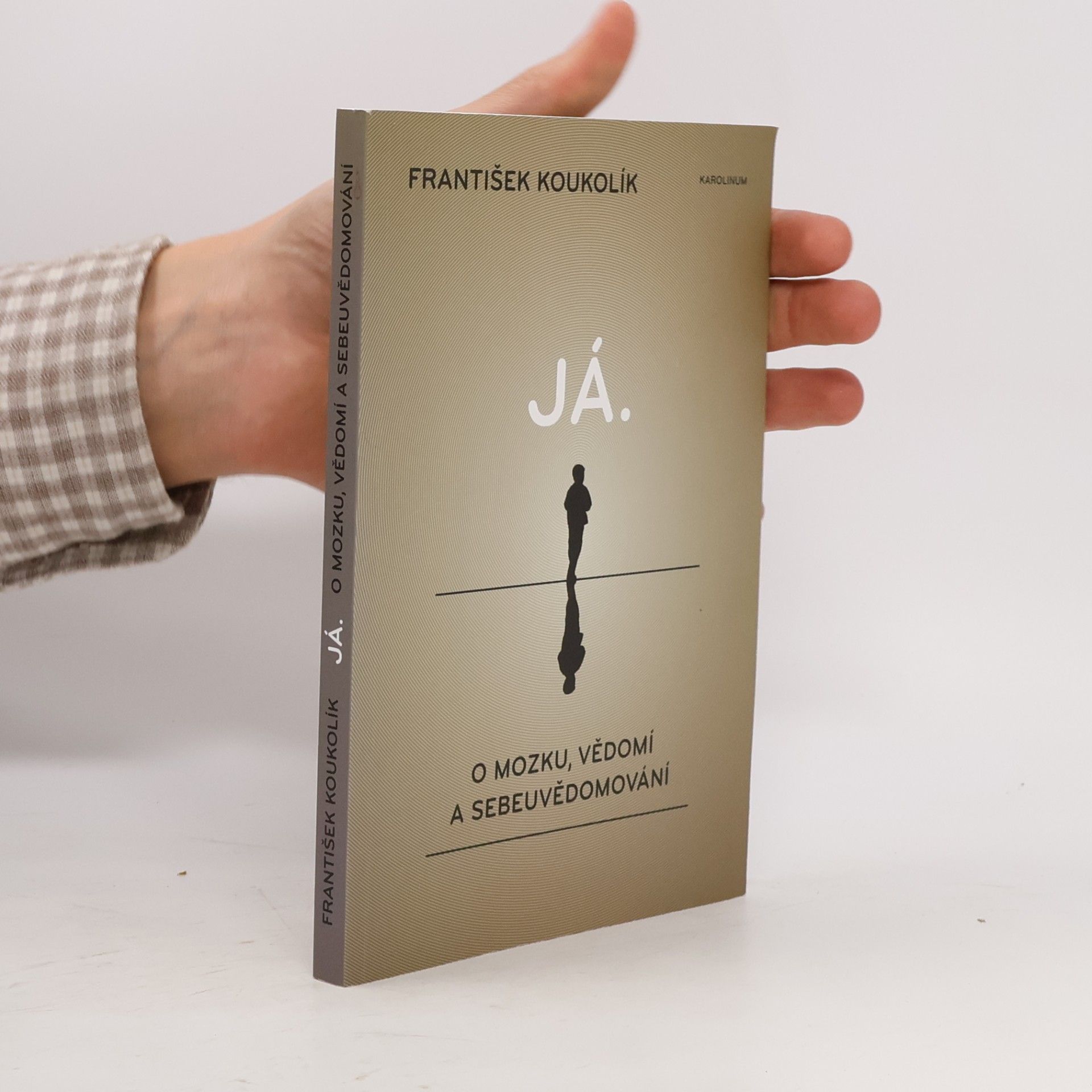 František Koukolík Já. O mozku, vědomí a sebeuvědomování