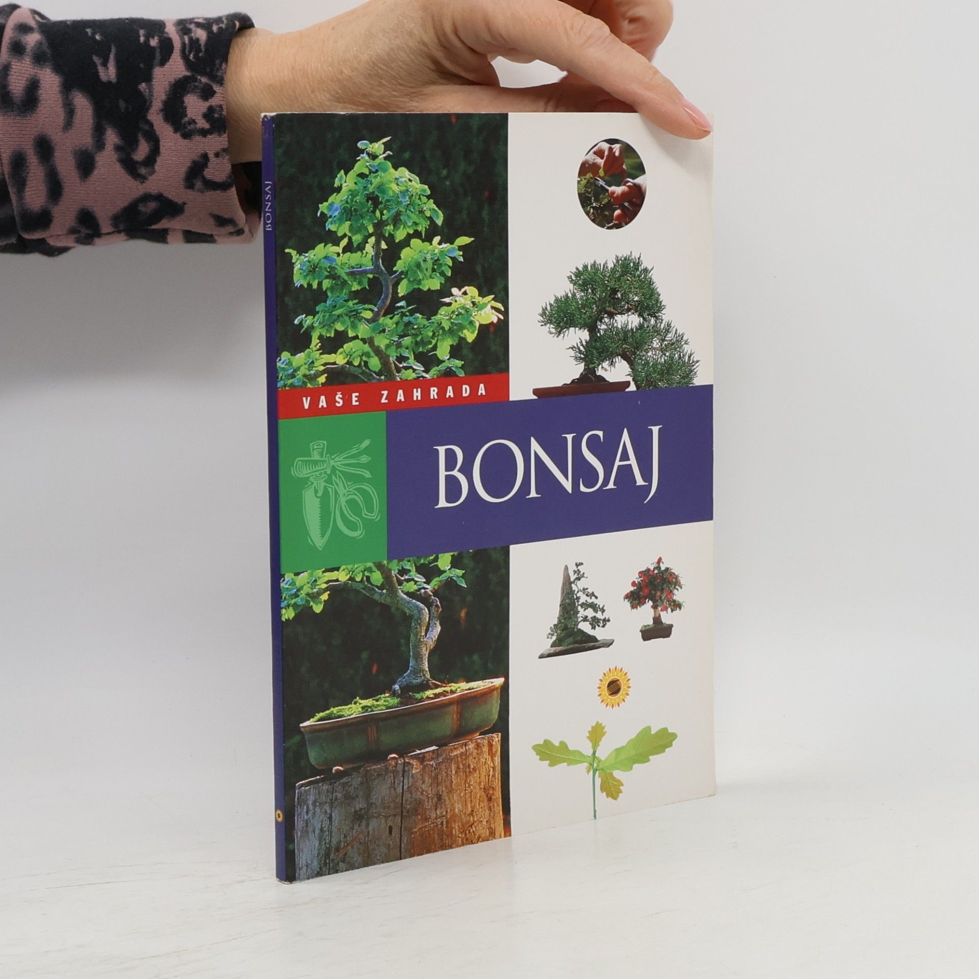 Kolektiv autorů Bonsaj