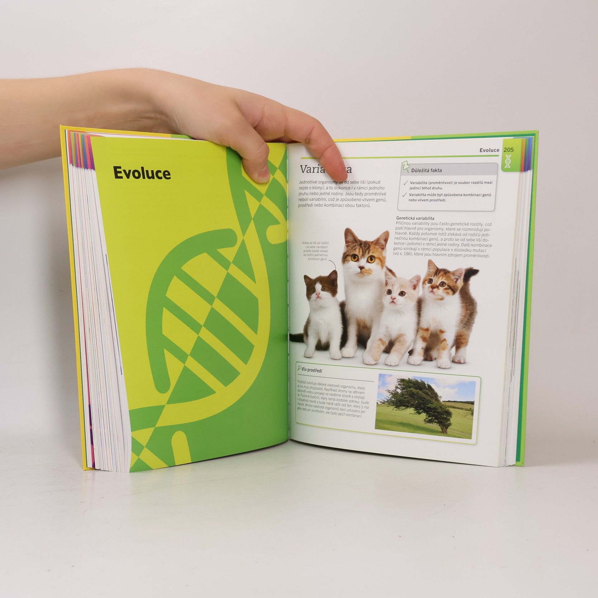 Kolektiv autorů Supersnadná biologie