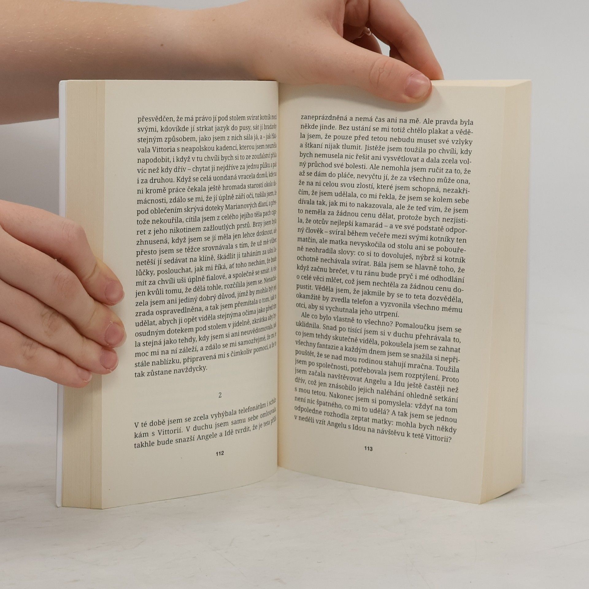 Elena Ferrante Prolhaný život dospělých