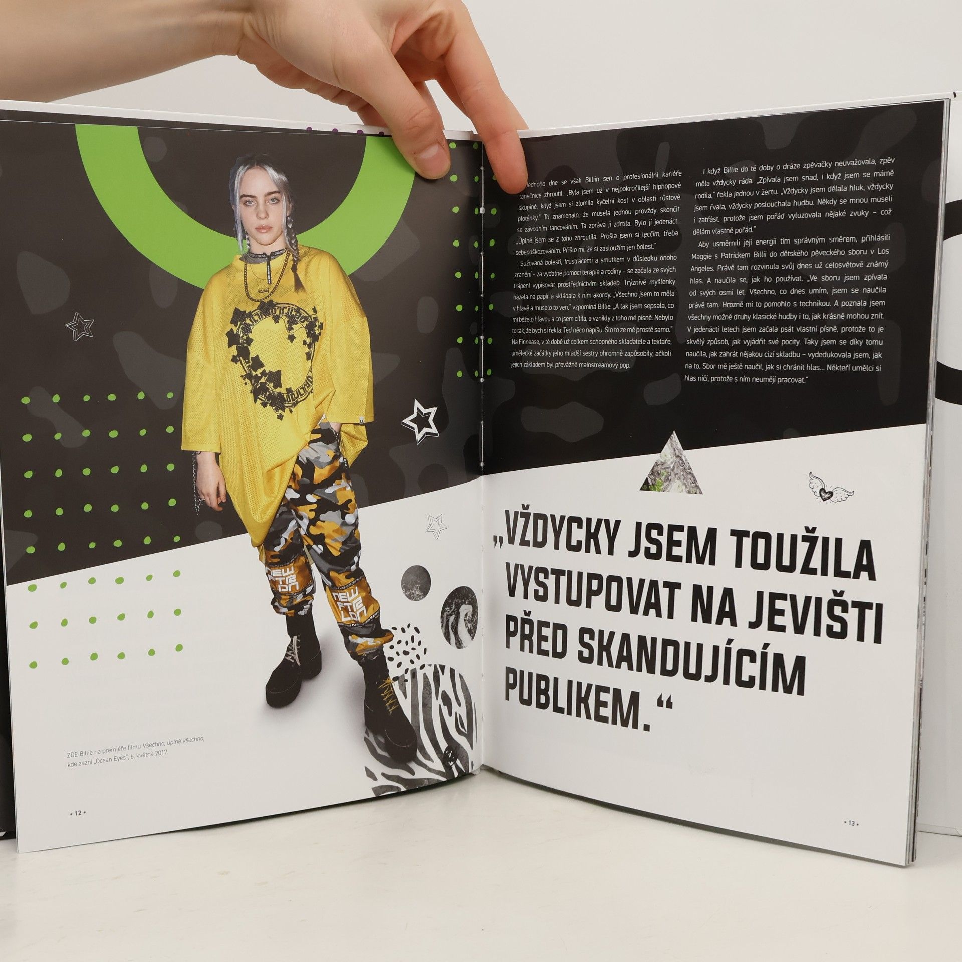 Malcolm Croft Billie Eilish: Nepostradatelná kniha pro fanoušky