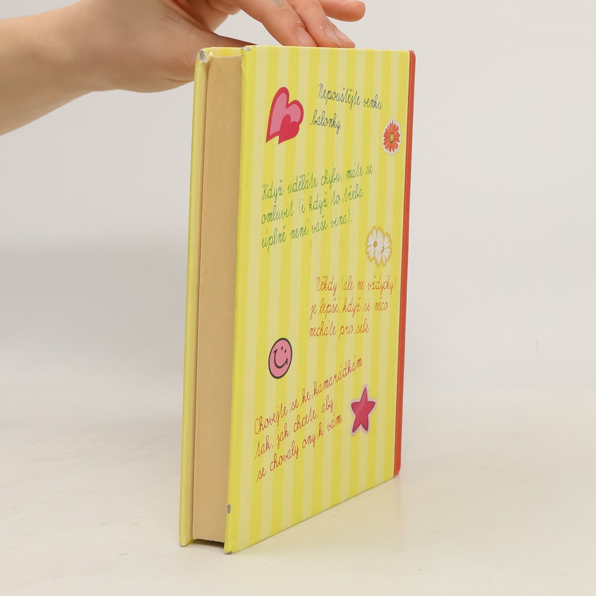 Meg Cabot Allie Finklová. Holčičí pravidla 1. díl