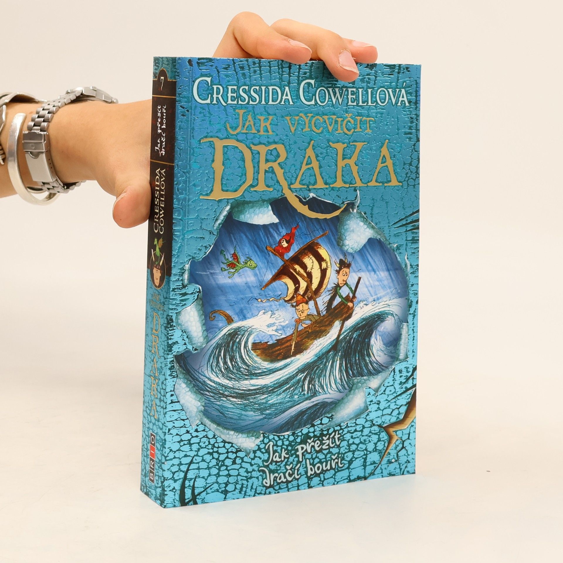 Cressida Cowell Jak vycvičit draka. Jak přežít dračí bouři