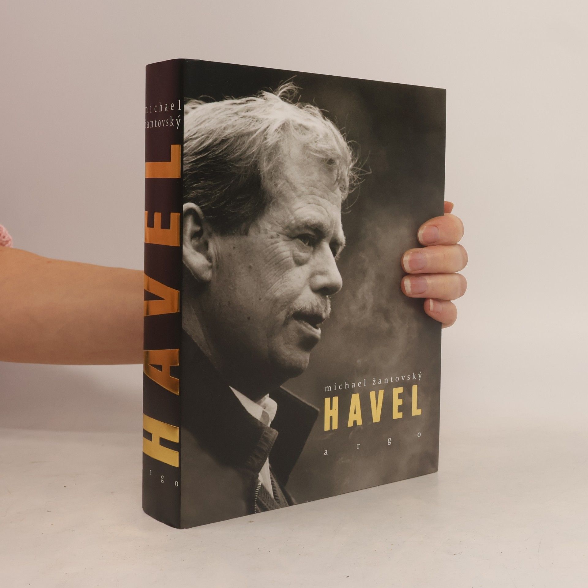 Michael Žantovský Havel