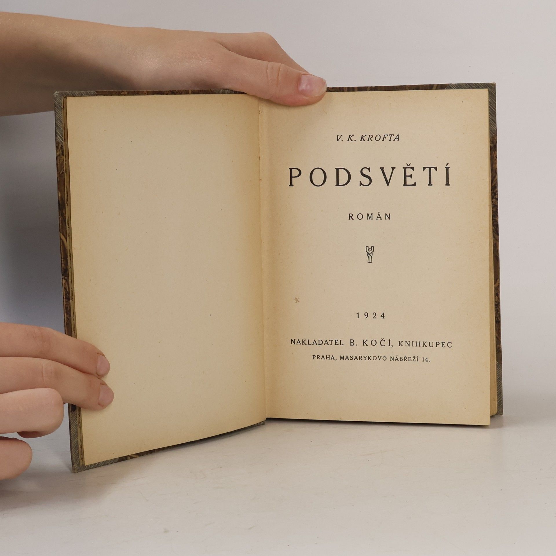 Krofta V. K. Podsvětí