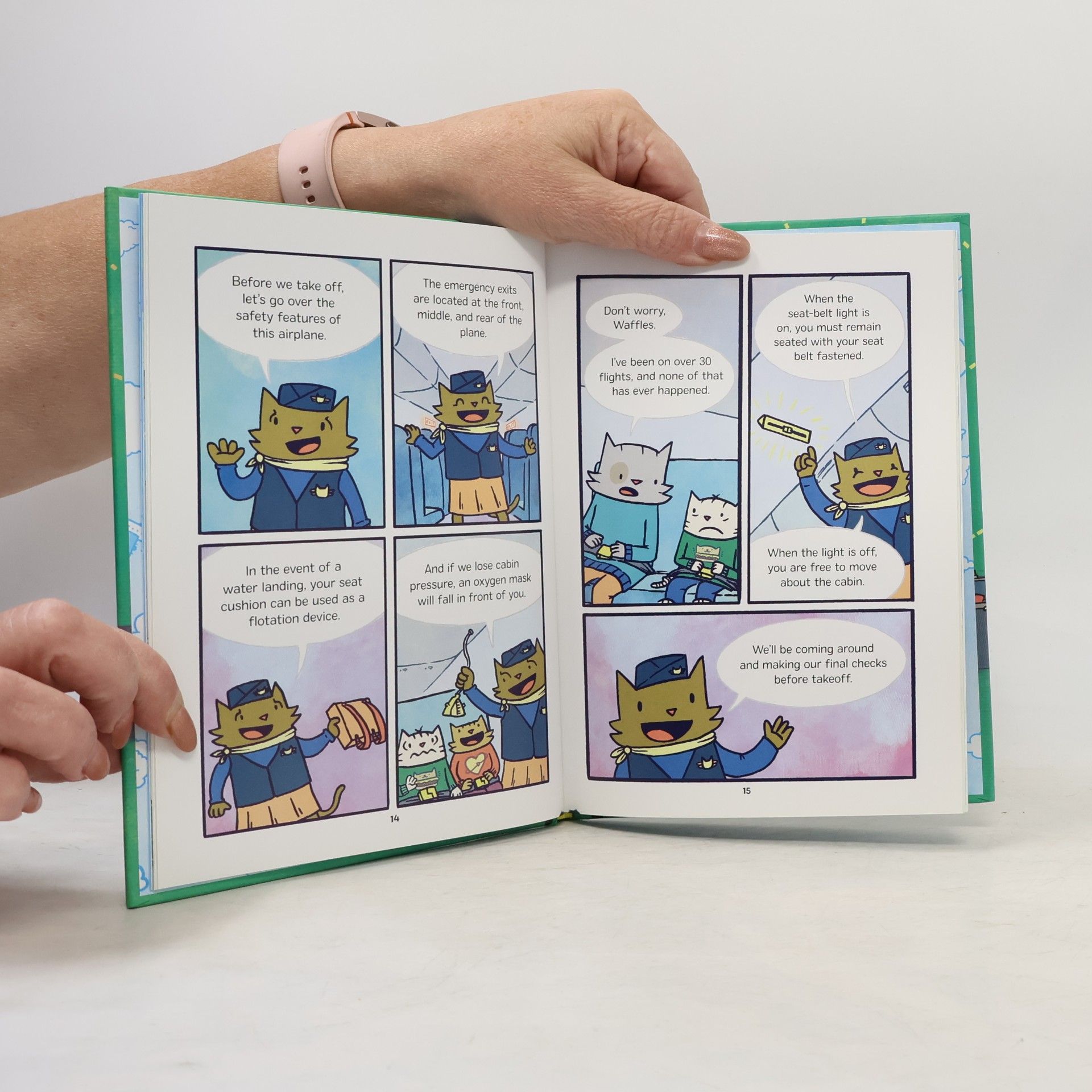 Drew Brockington Waffles And Pancake: Flight Or Fright (A Graphic Novel)