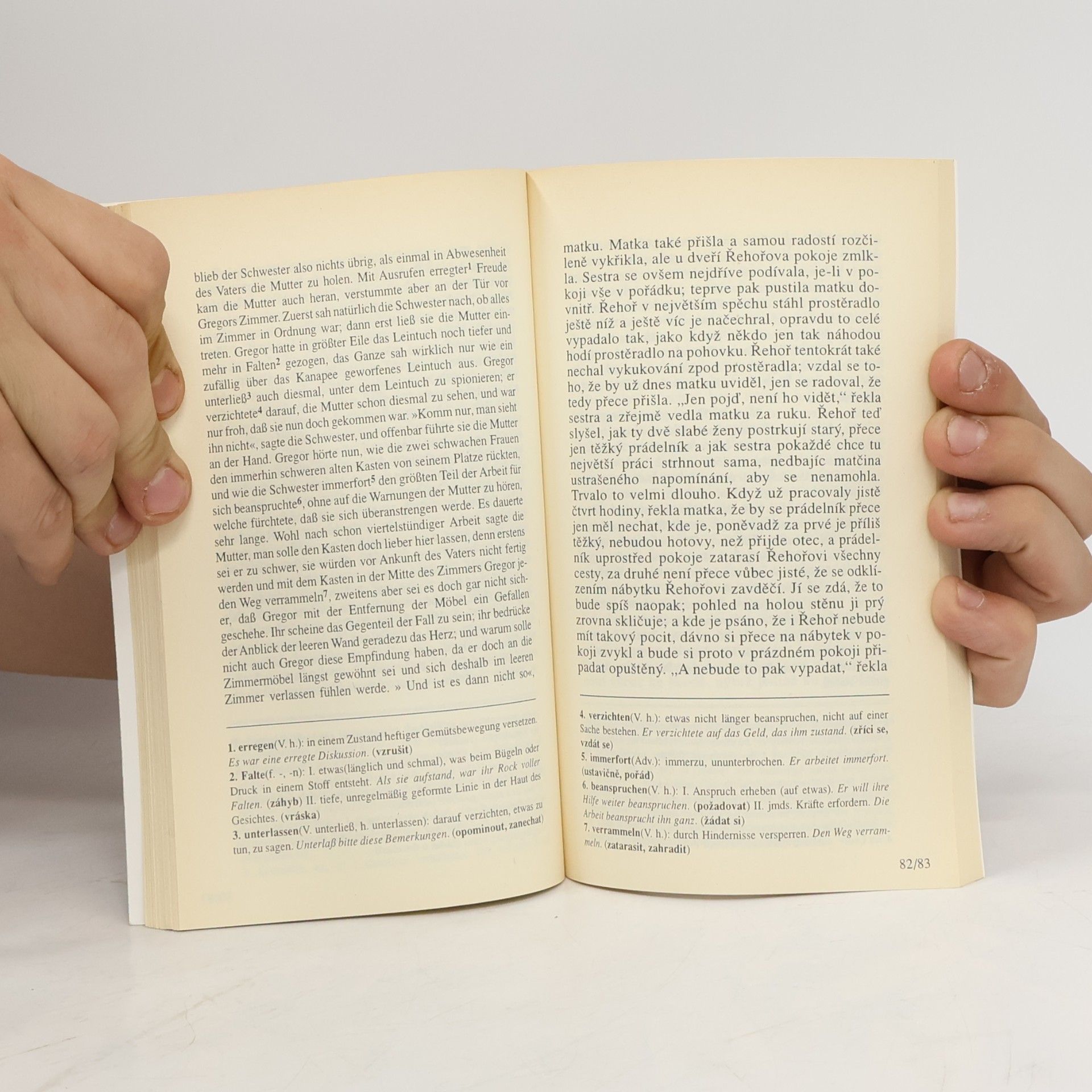 Franz Kafka Die Verwandlung = Proměna