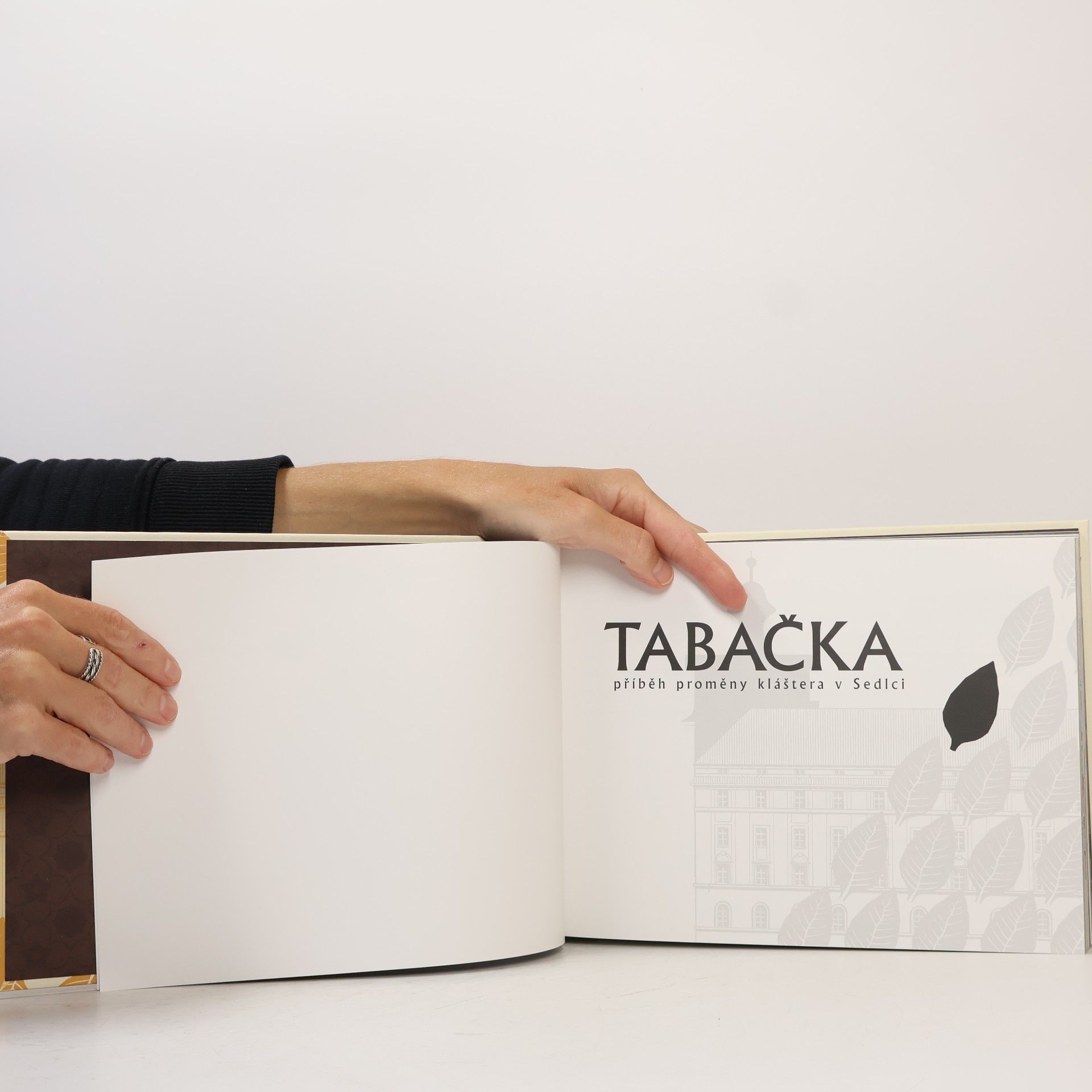 Various authors Tabačka. Příběh proměny kláštera v Sedlci