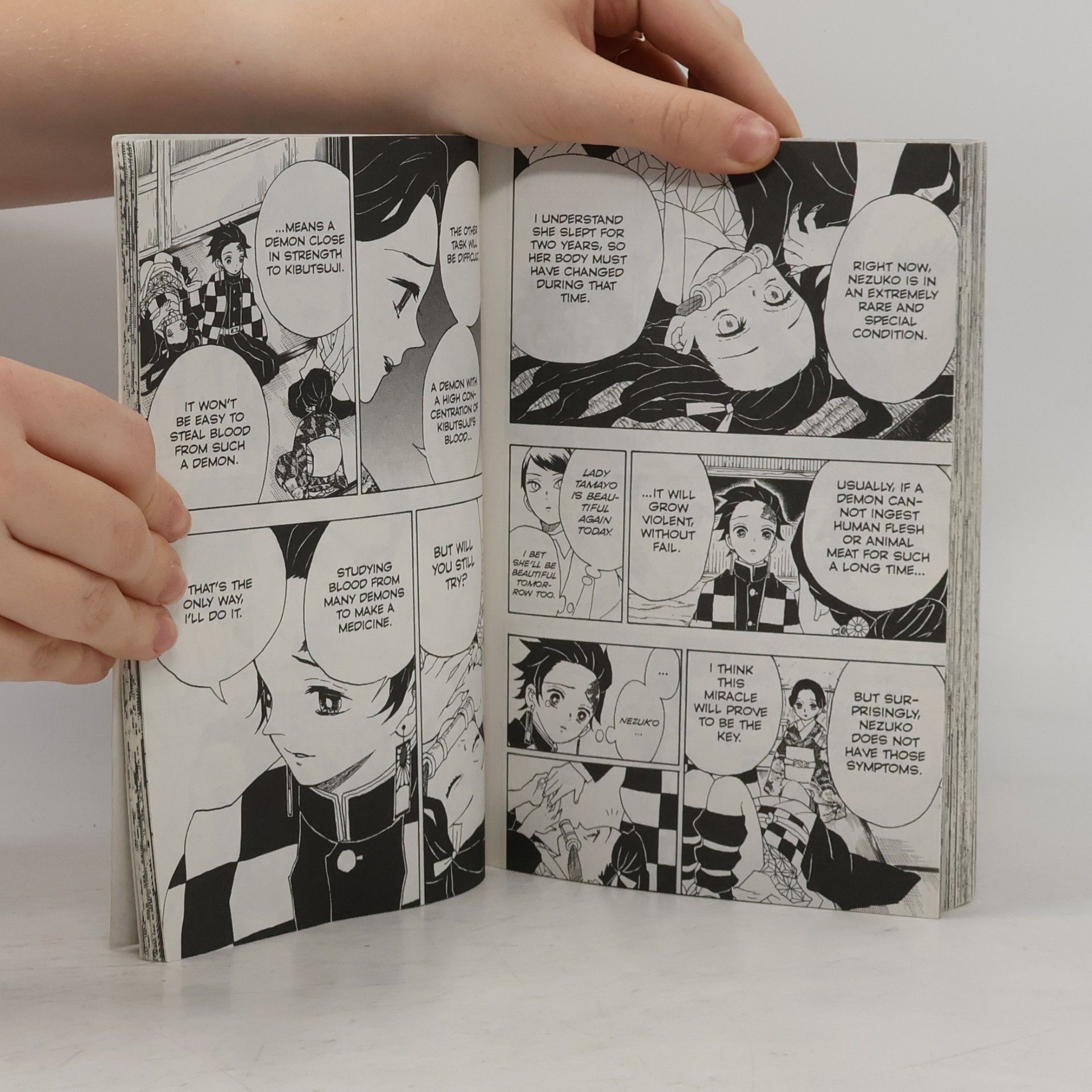 Koyoharu Gotōge Demon Slayer: Kimetsu no Yaiba, Vol. 2
