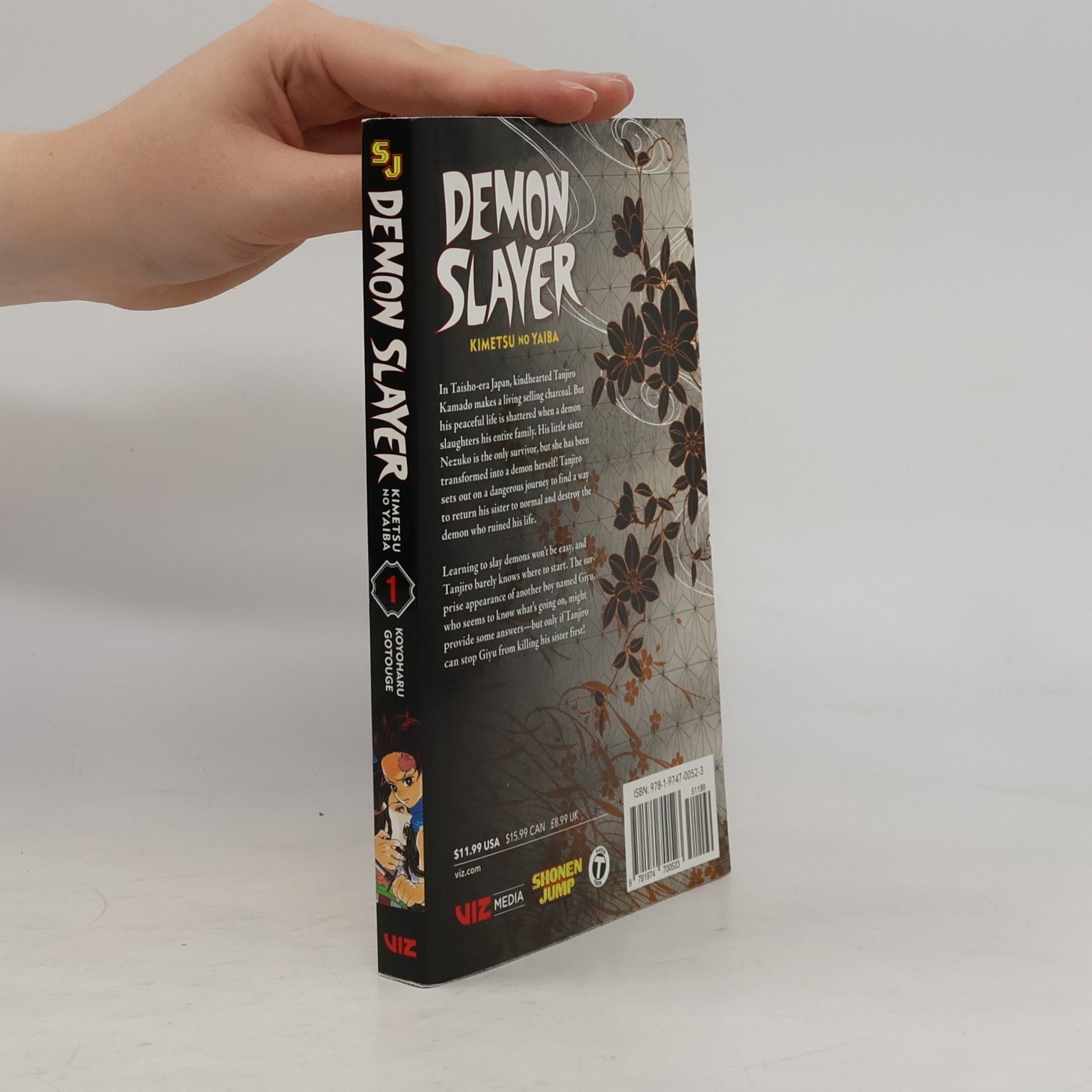 Koyoharu Gotōge Demon slayer 1