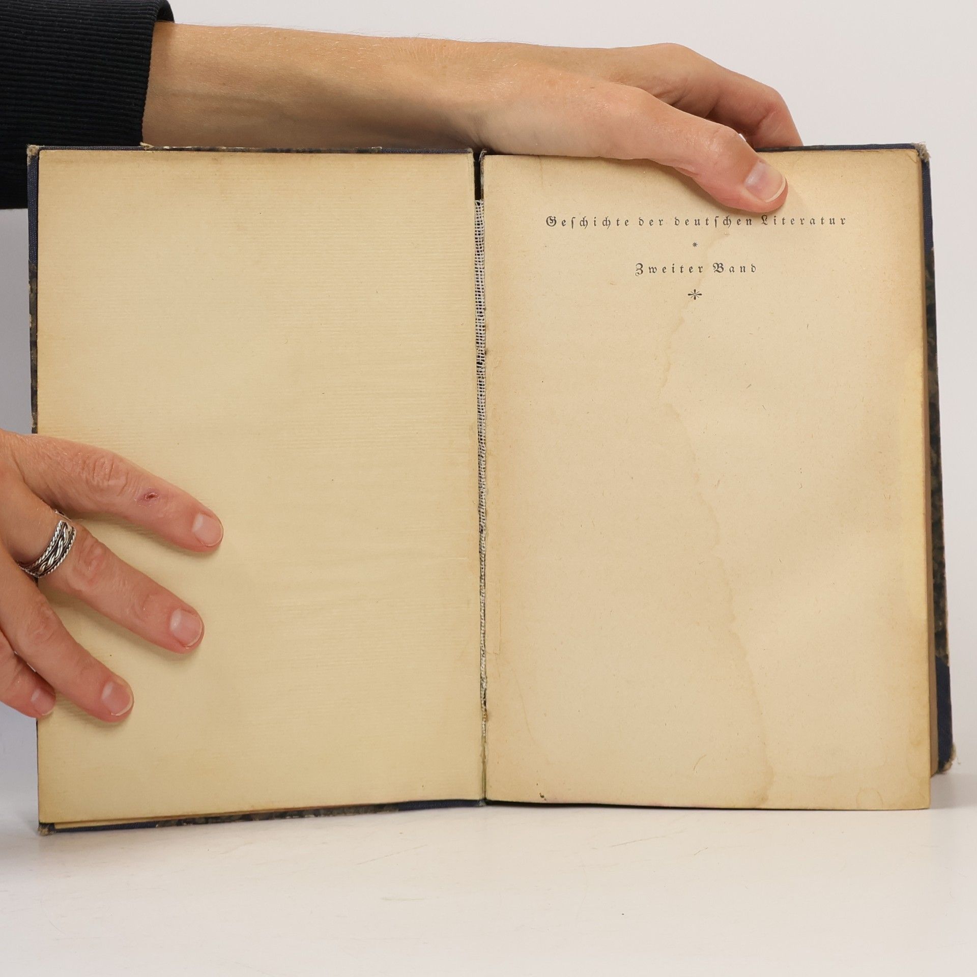 Karl Borinski Geschichte der deutschen Literatur