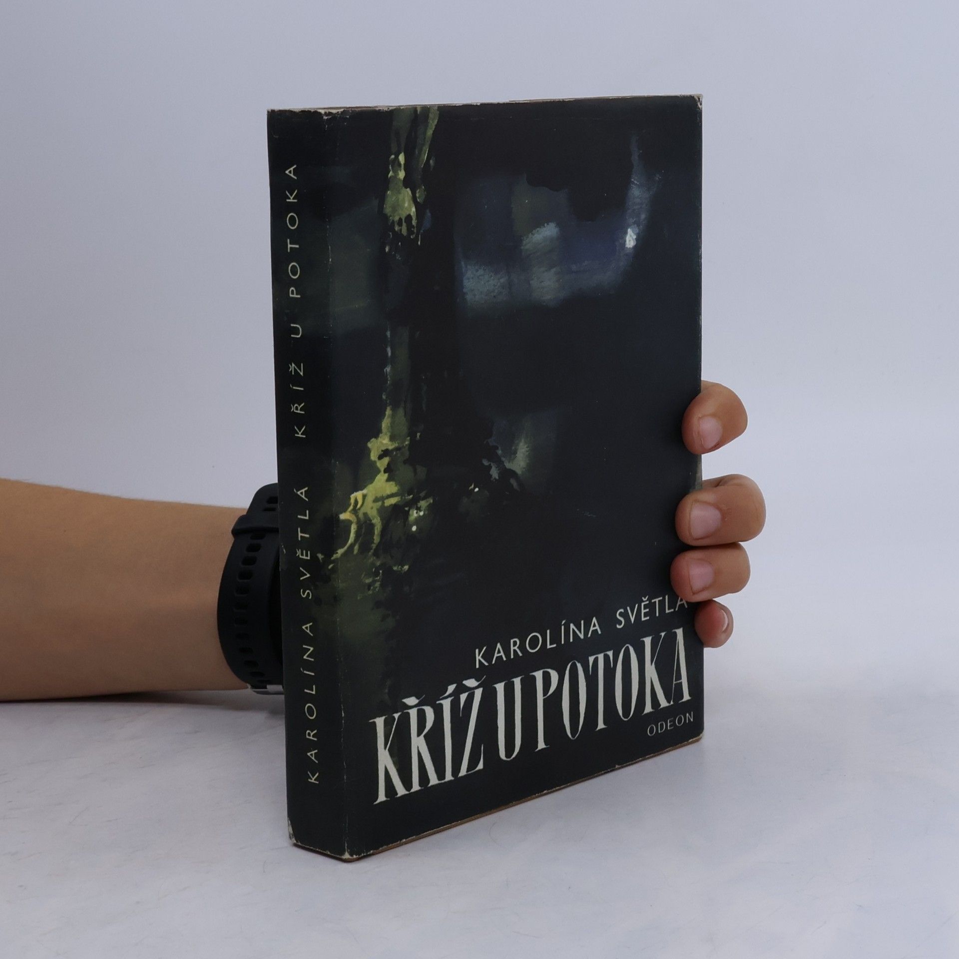 Karolina Světlá Kříž u potoka