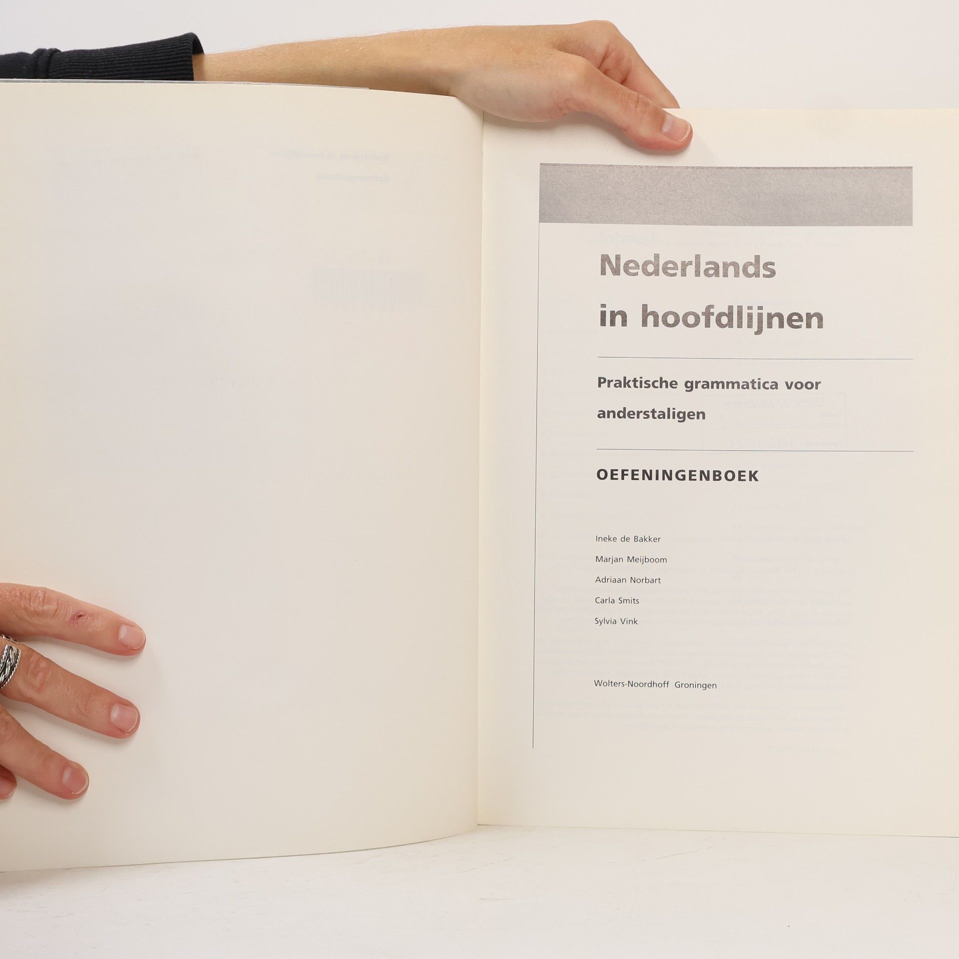 Ineke de Bakker Nederlands in hoofdlijnen