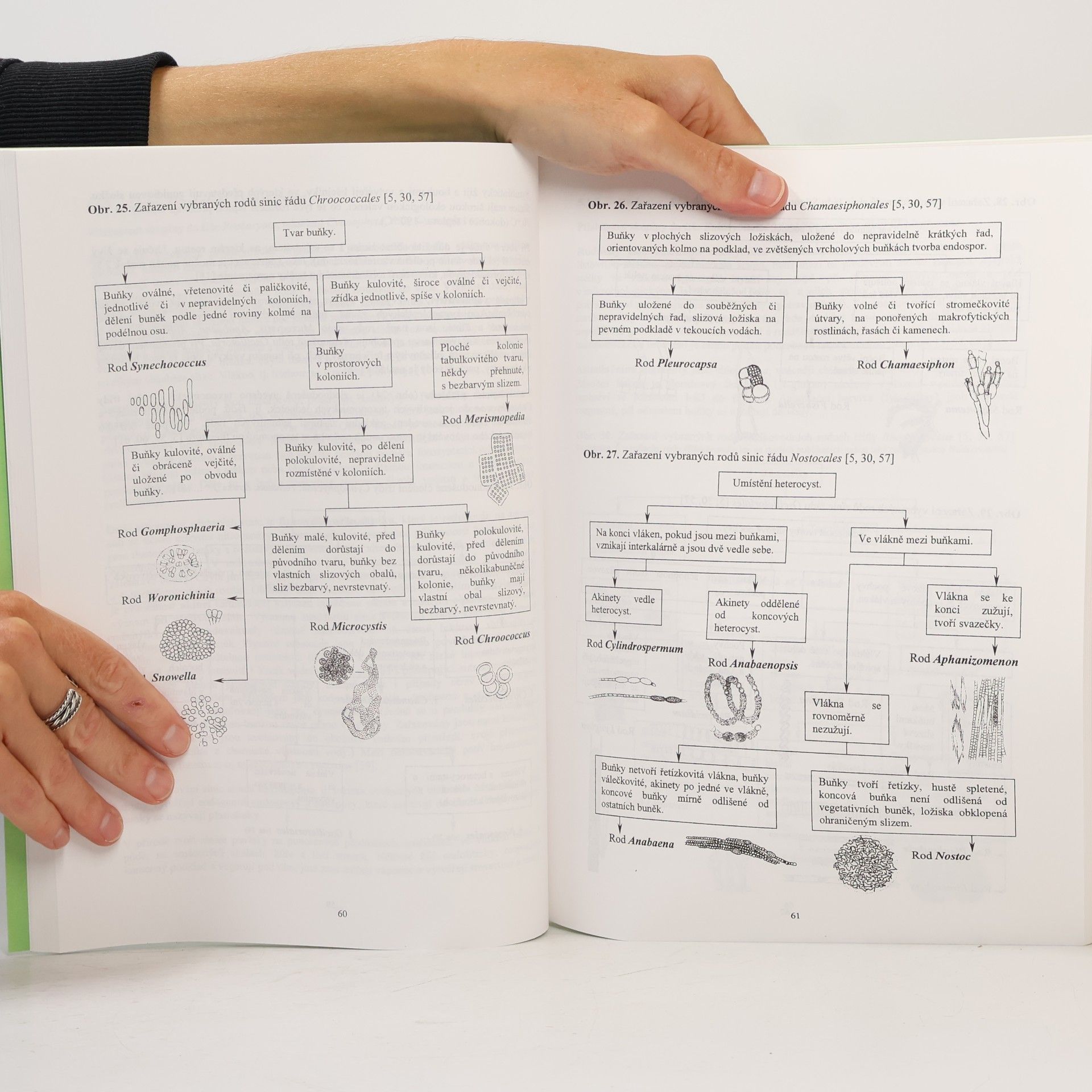 Jana Říhová Ambrožová Mikroskopické praktikum z hydrobiologie