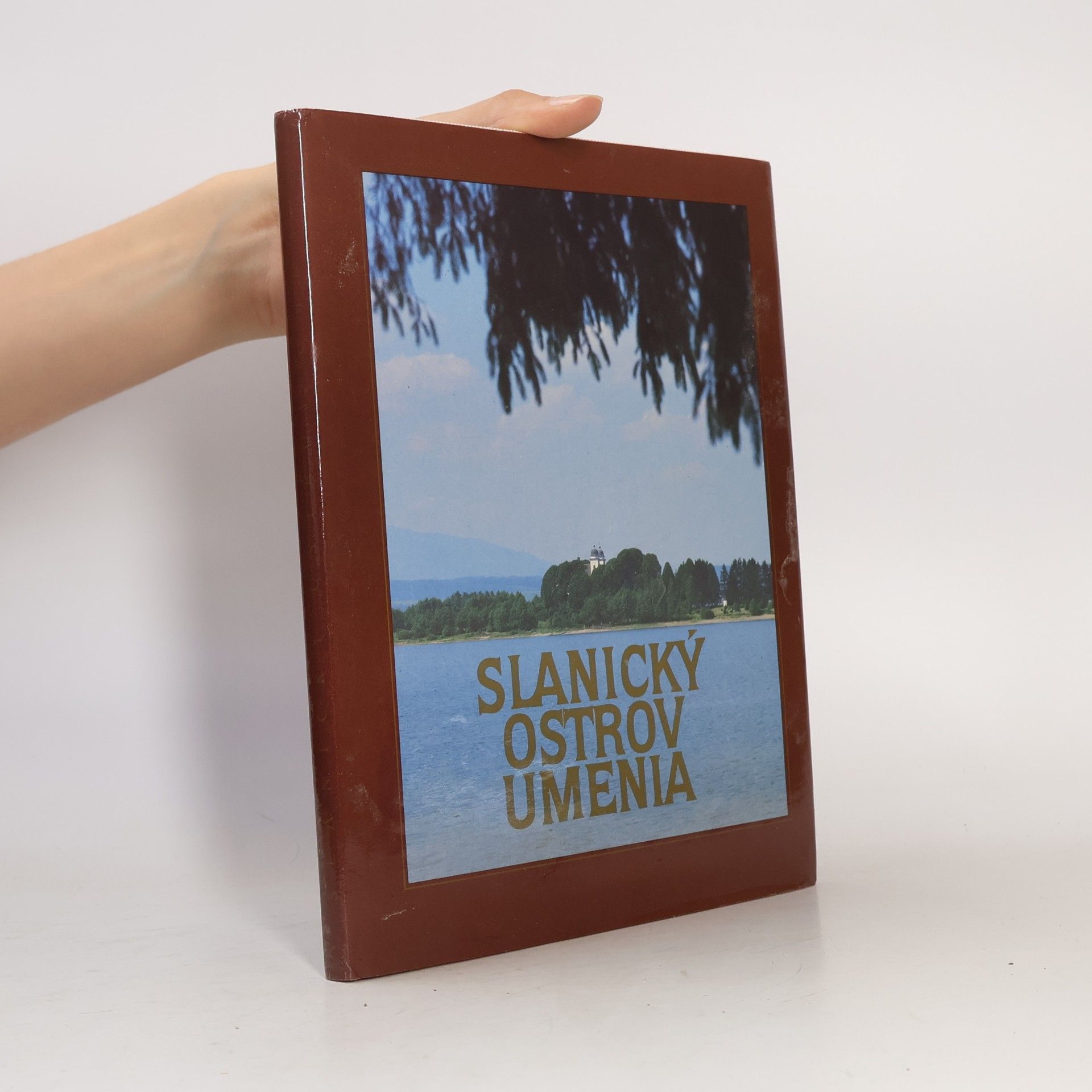Eva Ľuptáková Slanický ostrov umenia