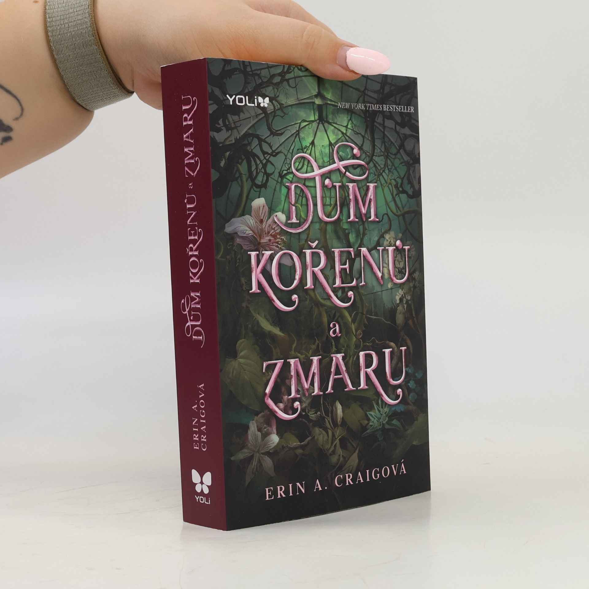 Erin A. Craig Dům kořenů a zmaru