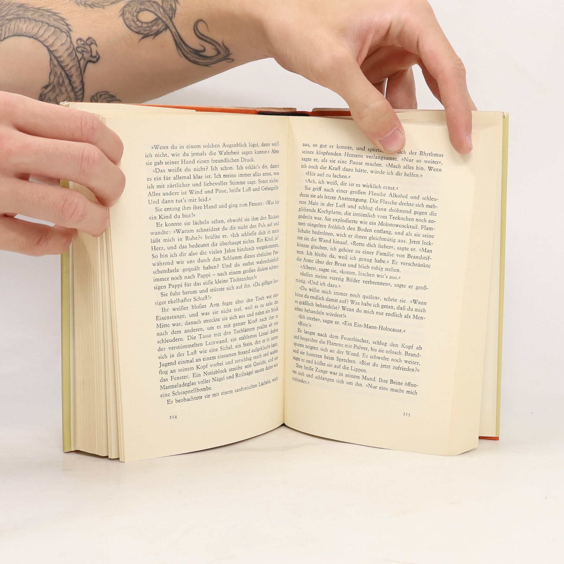 Alan Sillitoe Die Flamme des Lebens. Roman