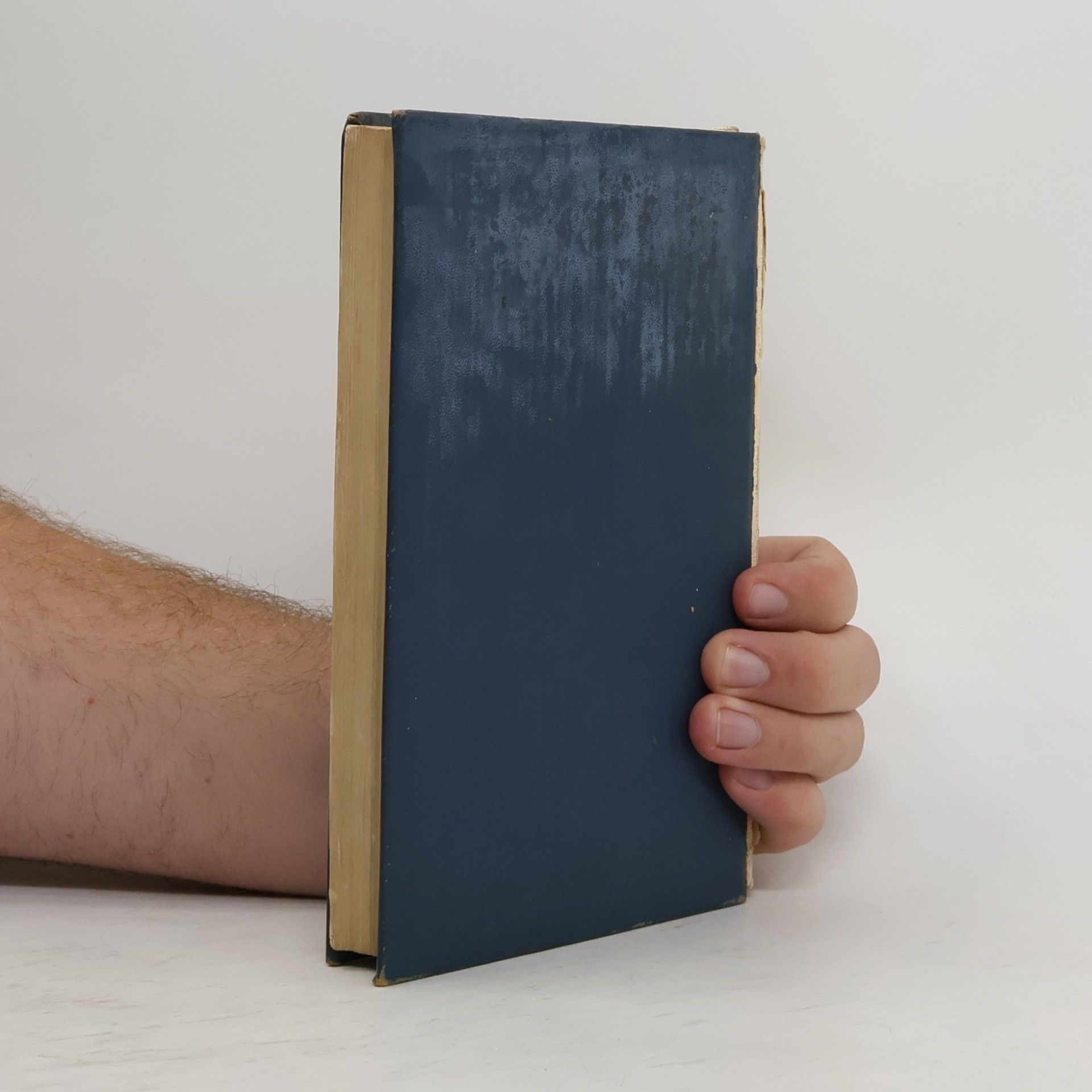 Autorenkollektiv Česká poesie. Výbor básní XIX. a XX. století