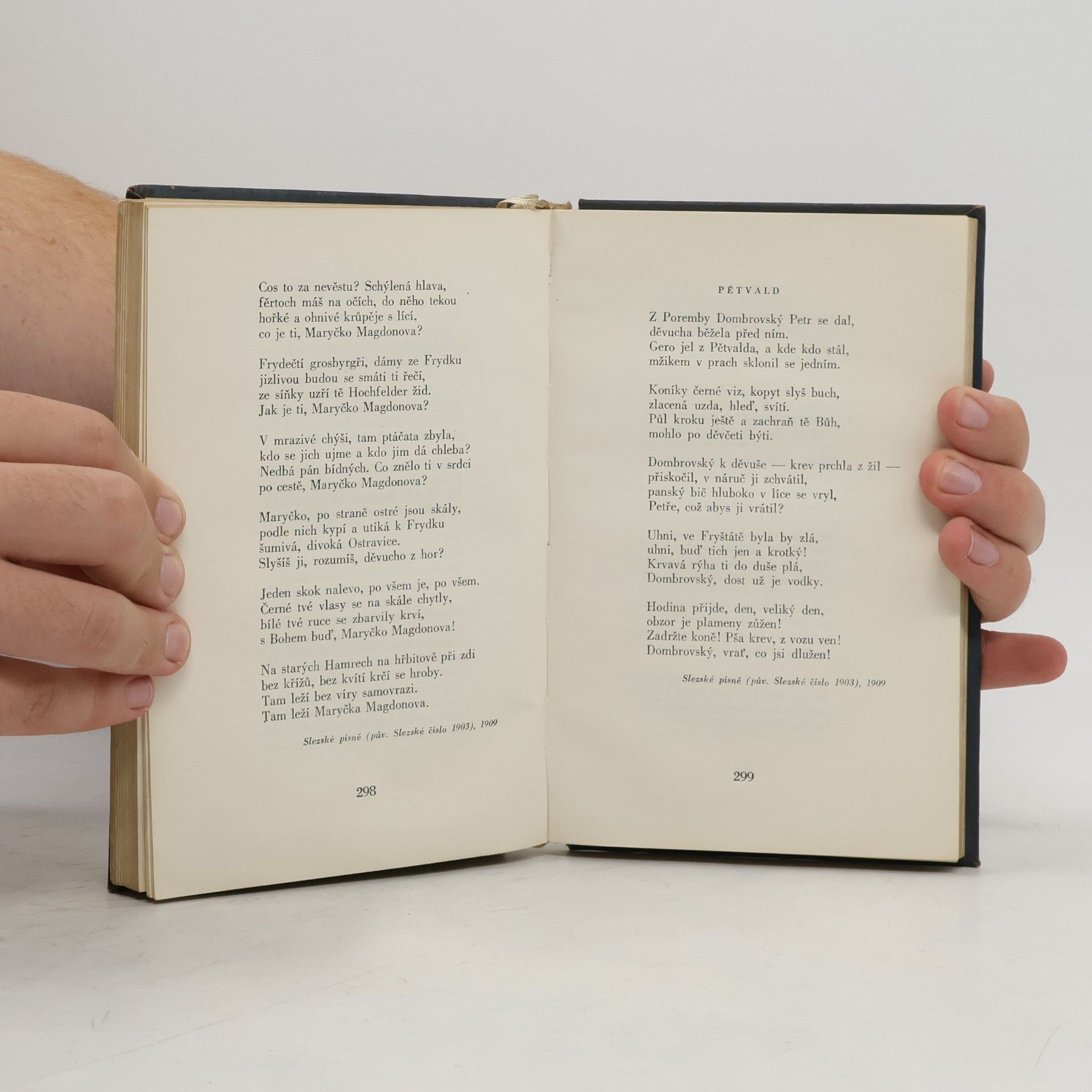 Autorenkollektiv Česká poesie. Výbor básní XIX. a XX. století