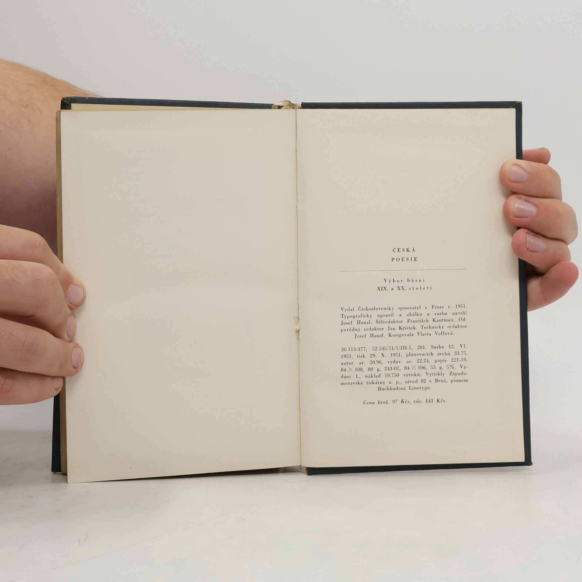 Autorenkollektiv Česká poesie. Výbor básní XIX. a XX. století
