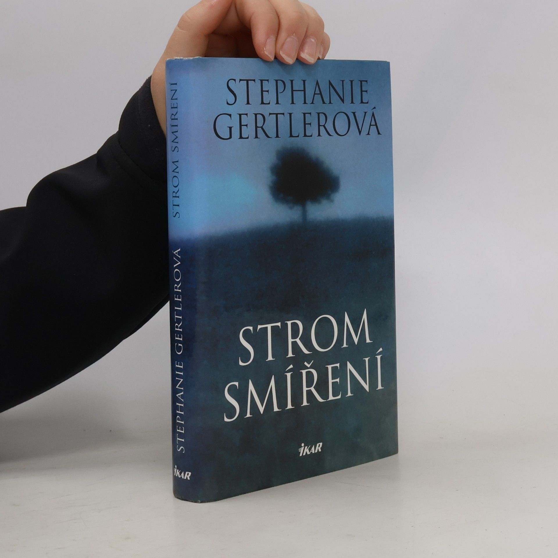 Stephanie Gertler Strom smíření