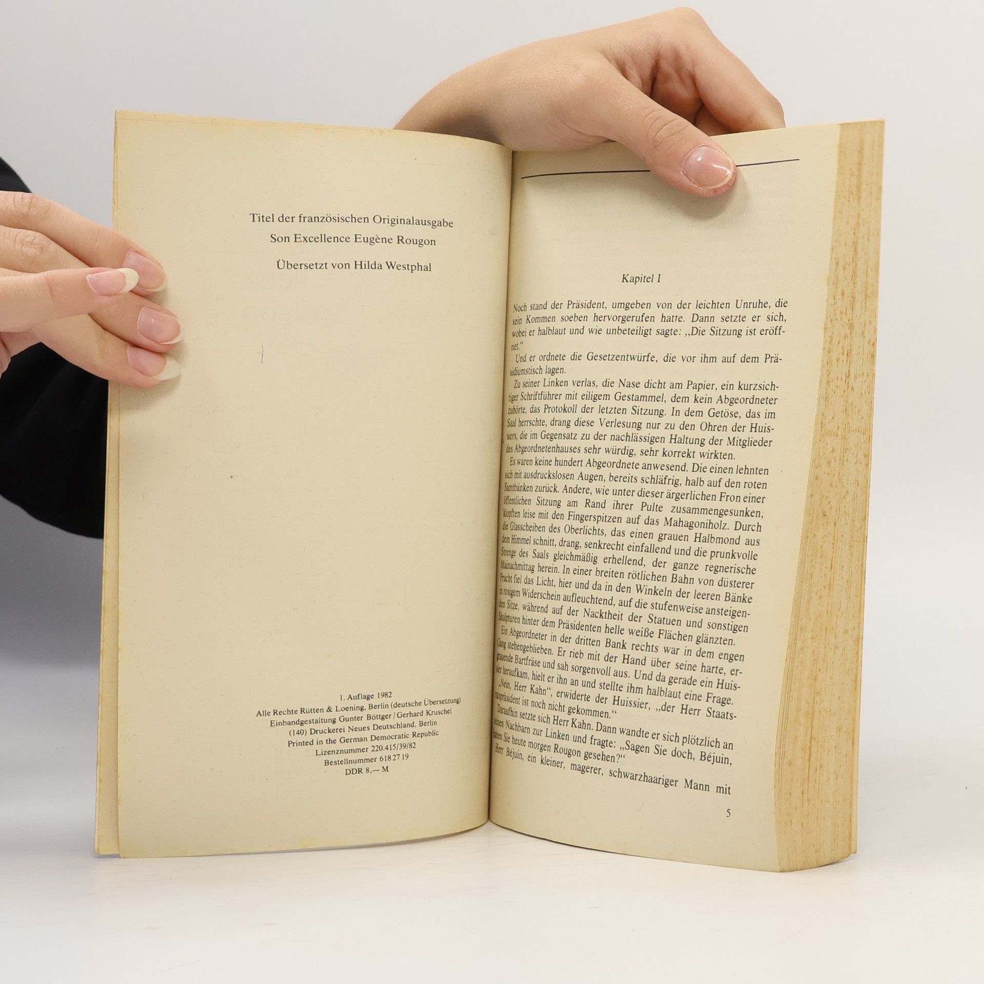 Émile Zola Seine Exzellenz Eugène Rougon