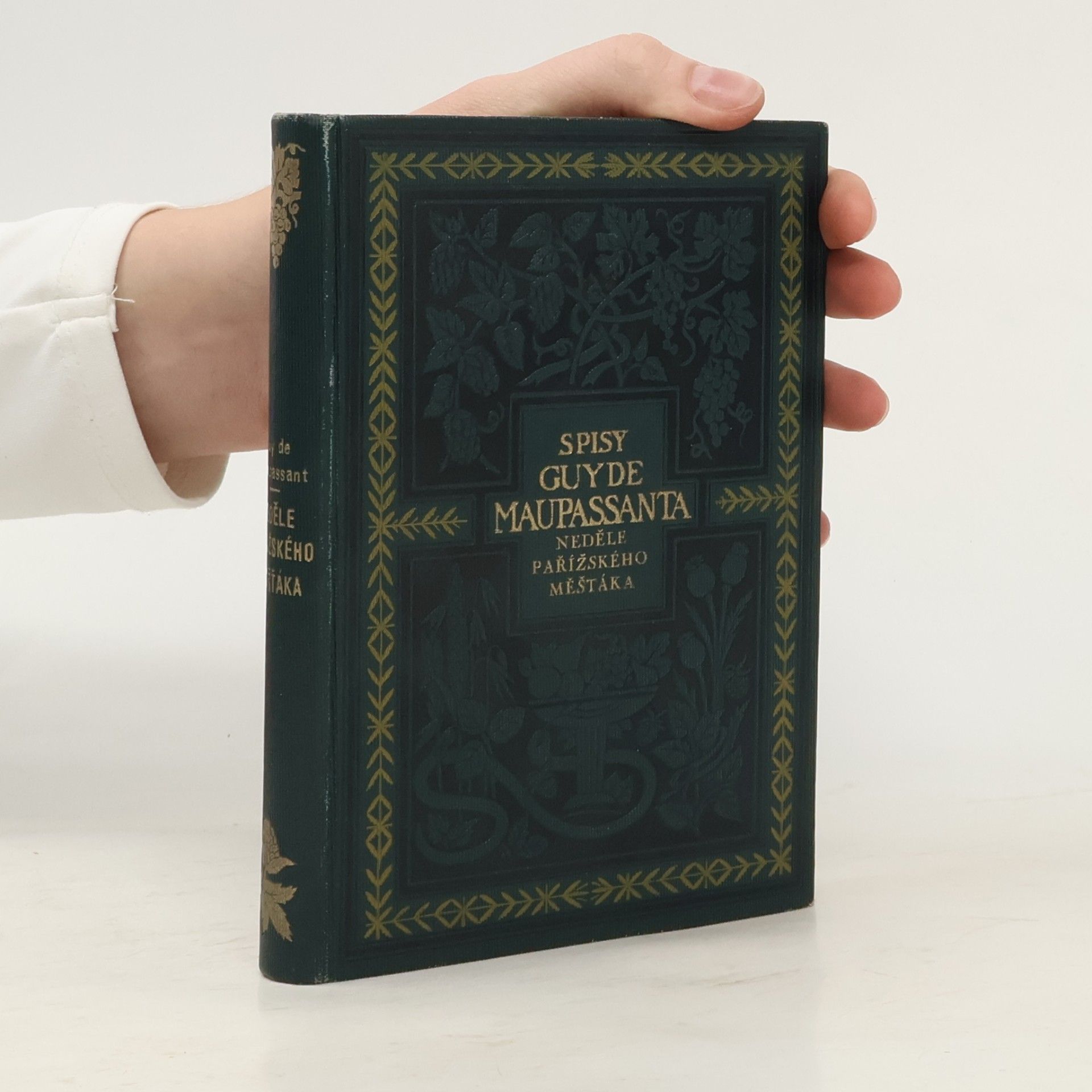 Guy de Maupassant Naše srdce