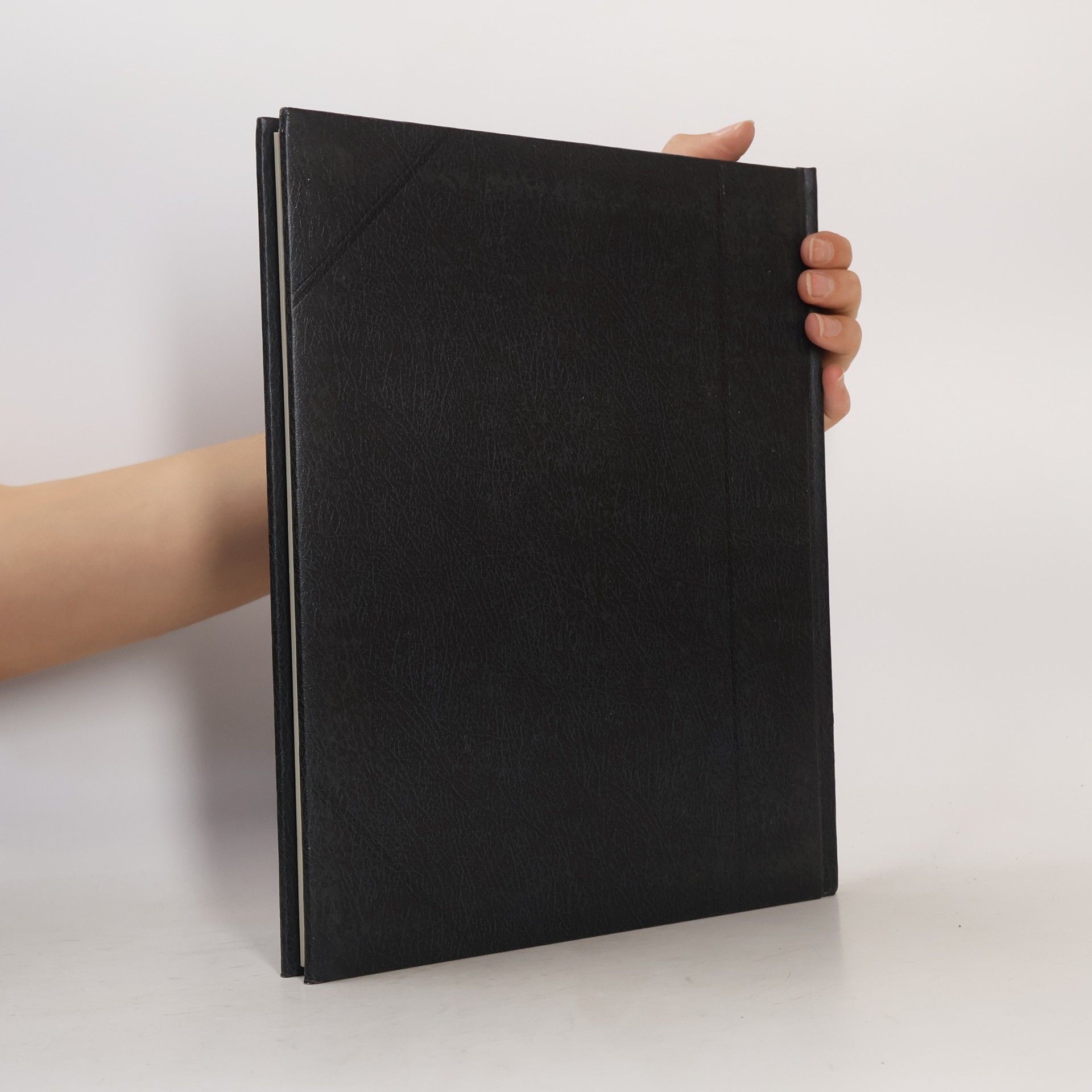 Colin Thubron Die Venezianer