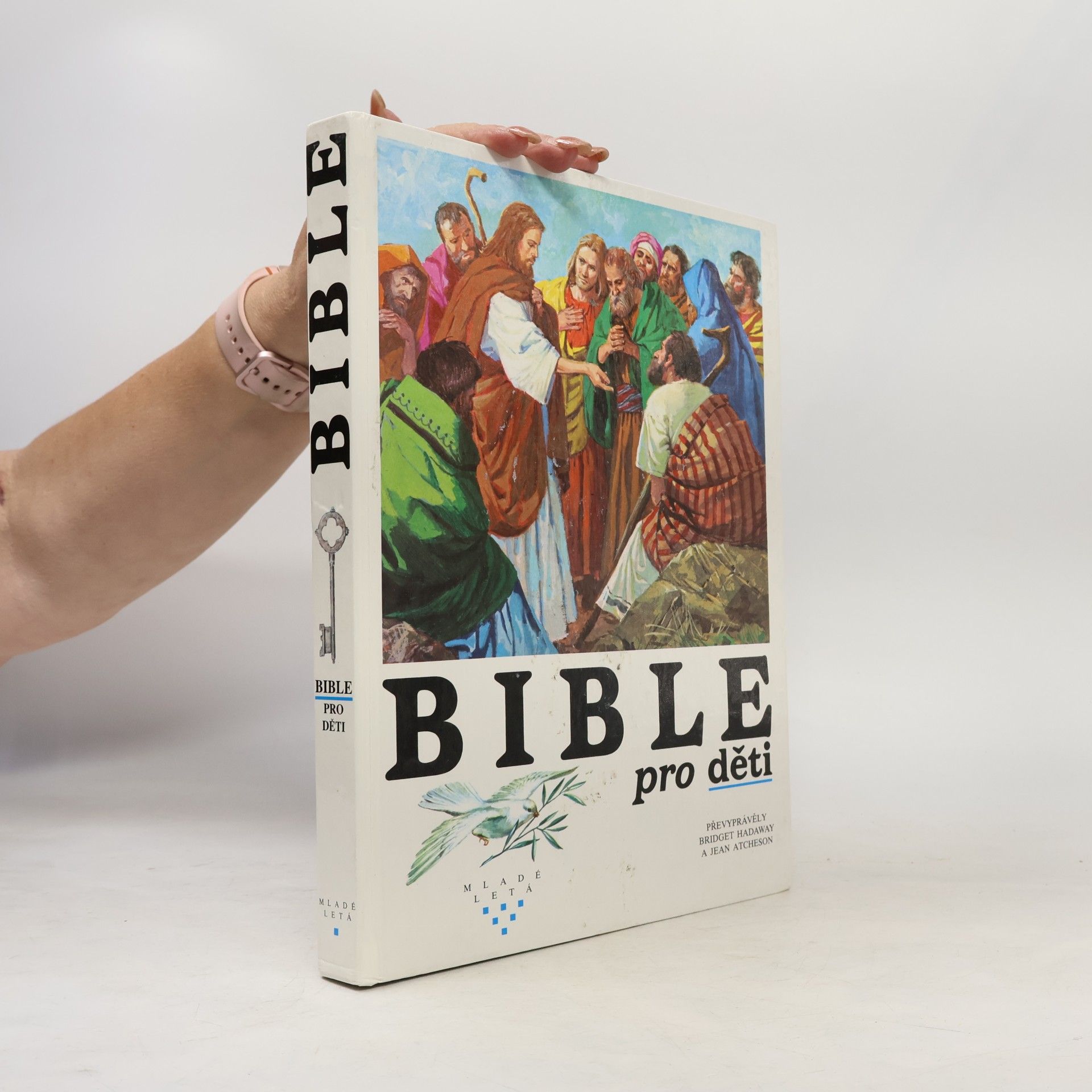Bridget Hadaway Bible pro děti